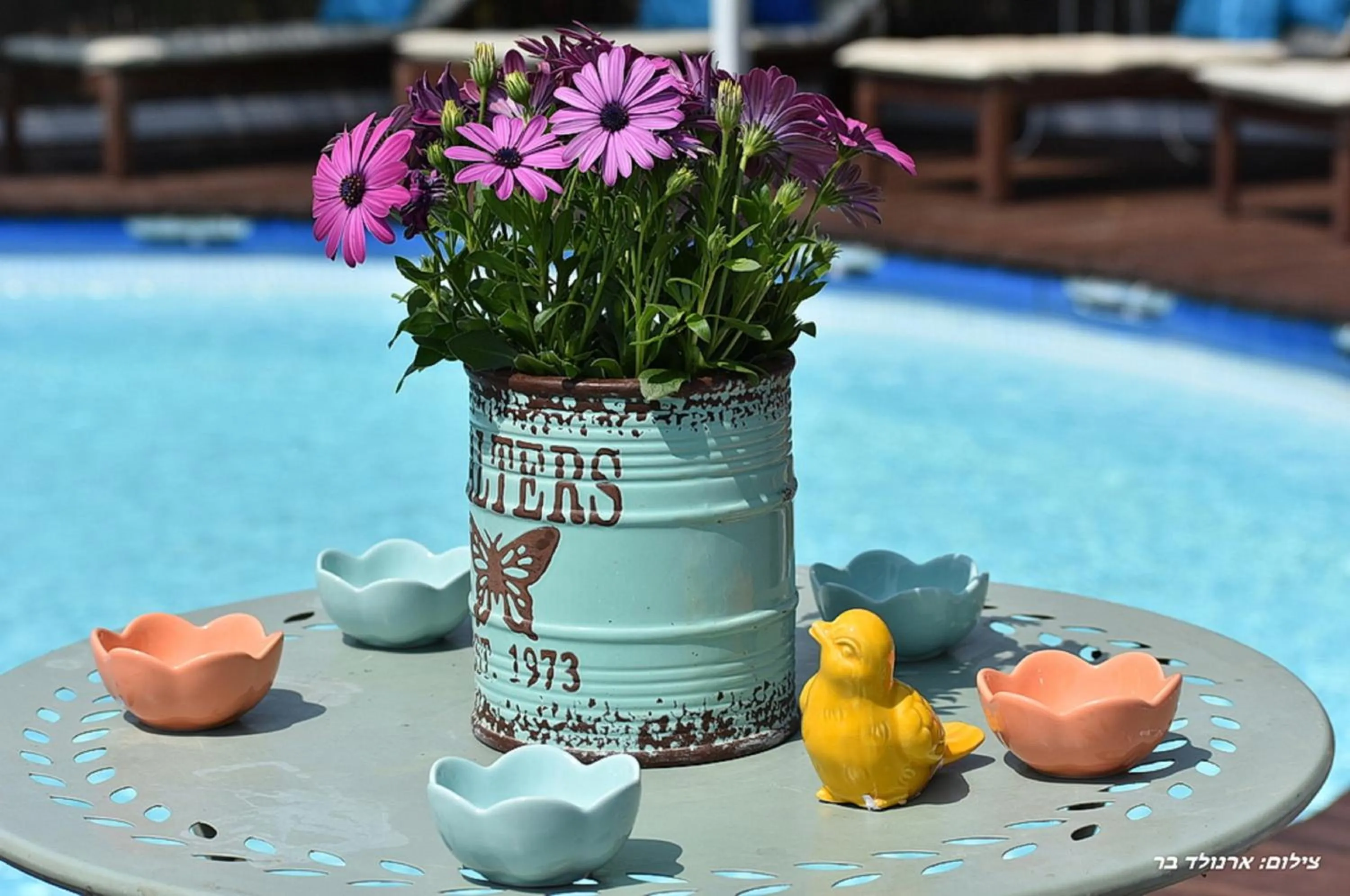 Swimming pool in Agama