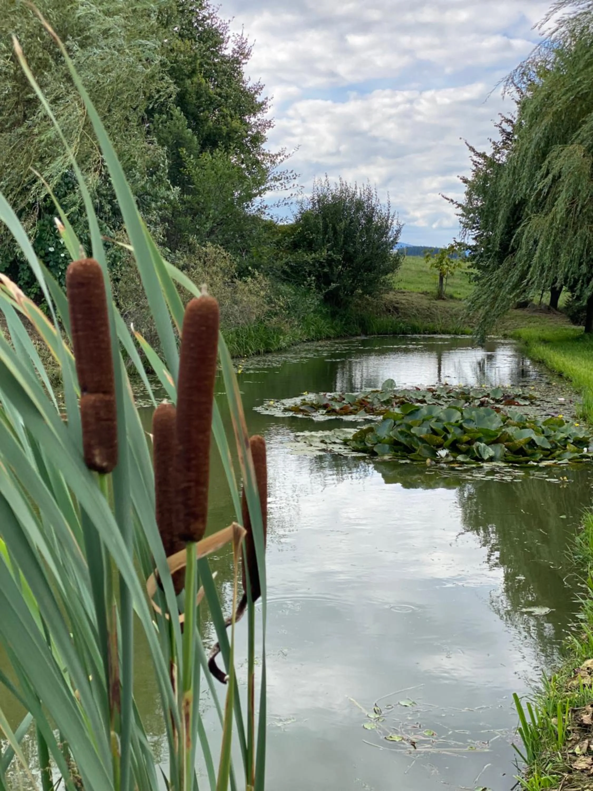 Fishing in Apartmán Hořice na Šumavě