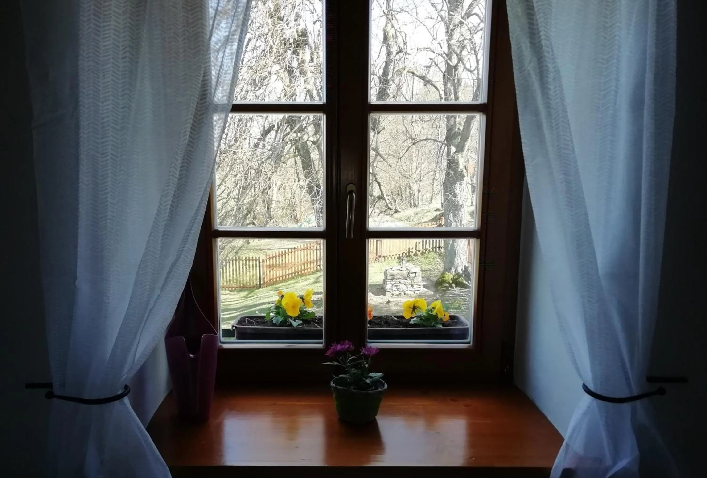 Garden view in Apartmán Hořice na Šumavě