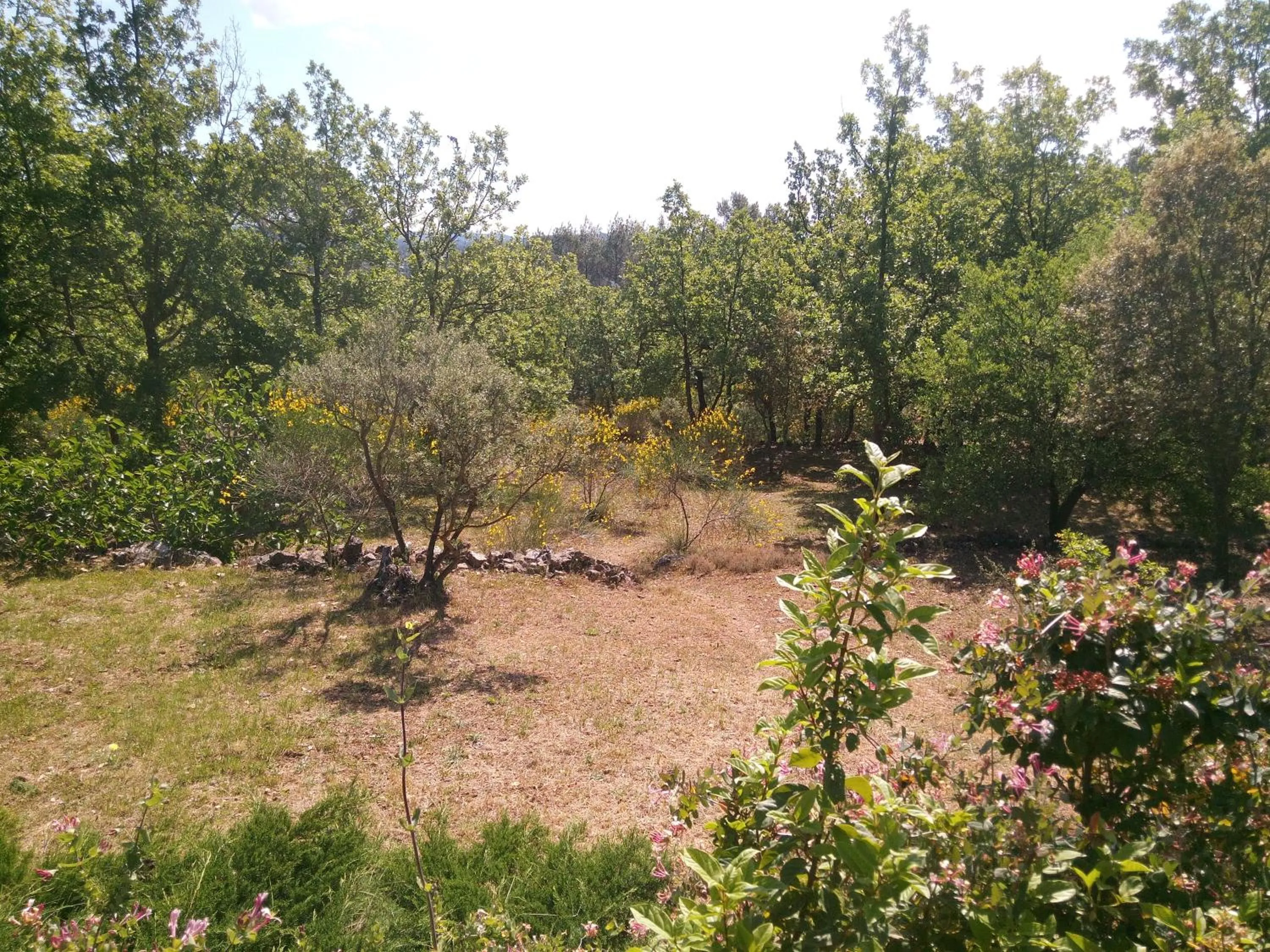 Garden view in Gite Les Oliviers