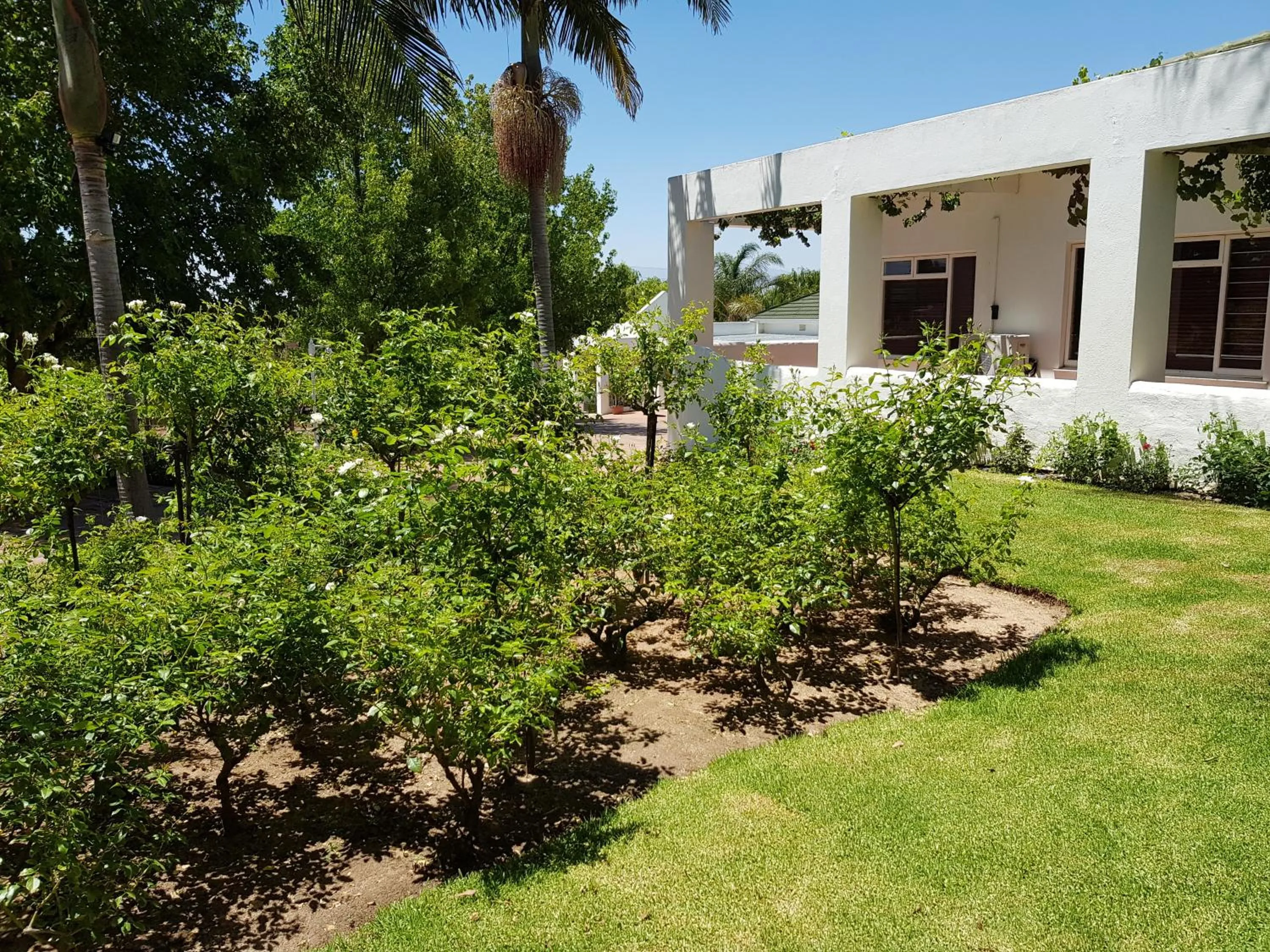 Balcony/Terrace in Zonnevanger Guesthouse
