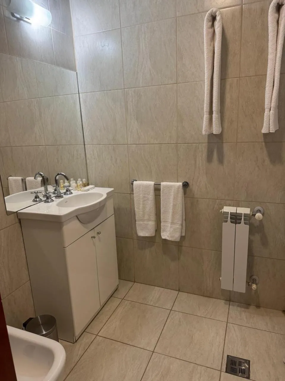 Shower in Hotel Sol del Añelo