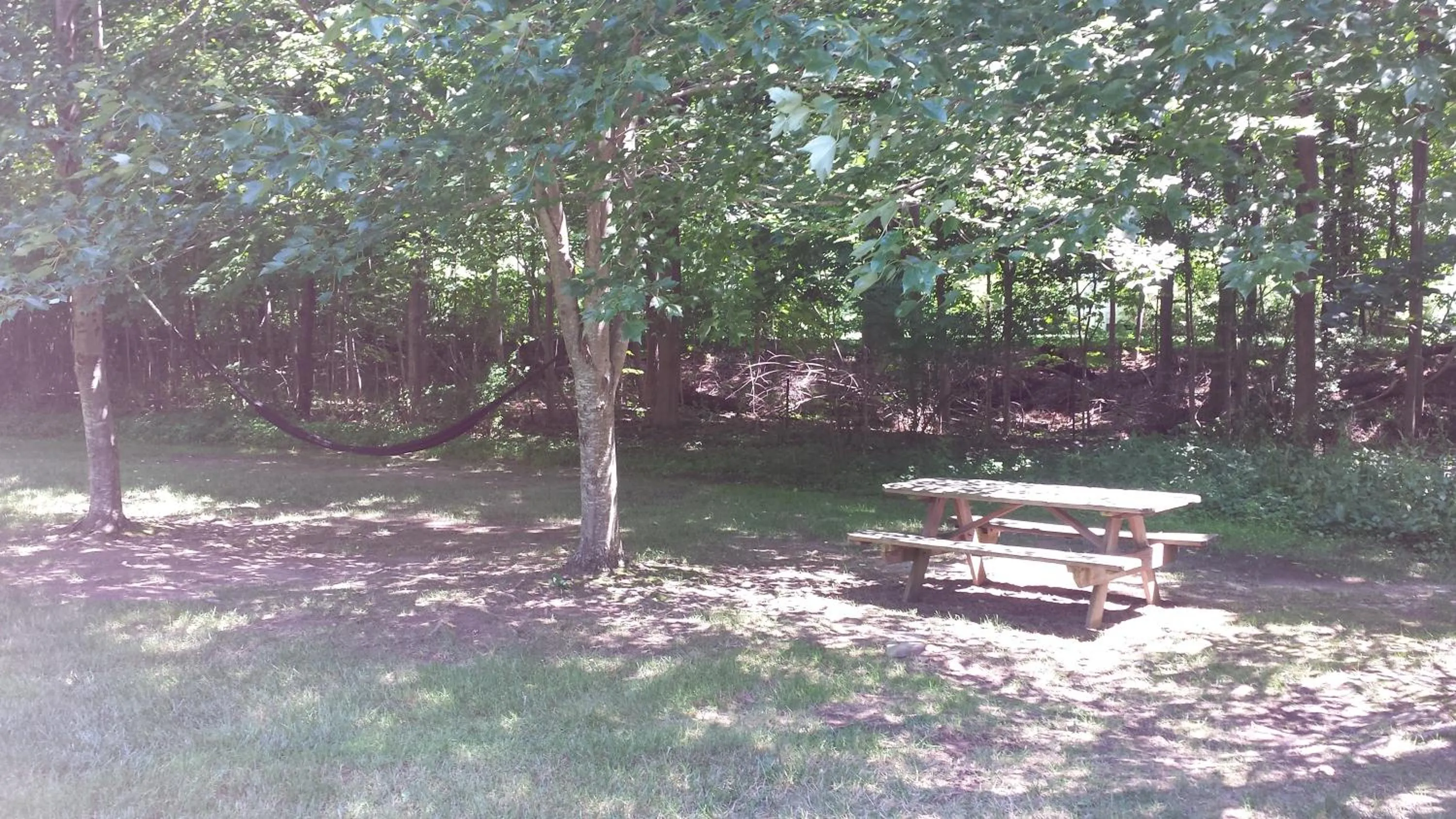 Area and facilities in The Graham & Co.