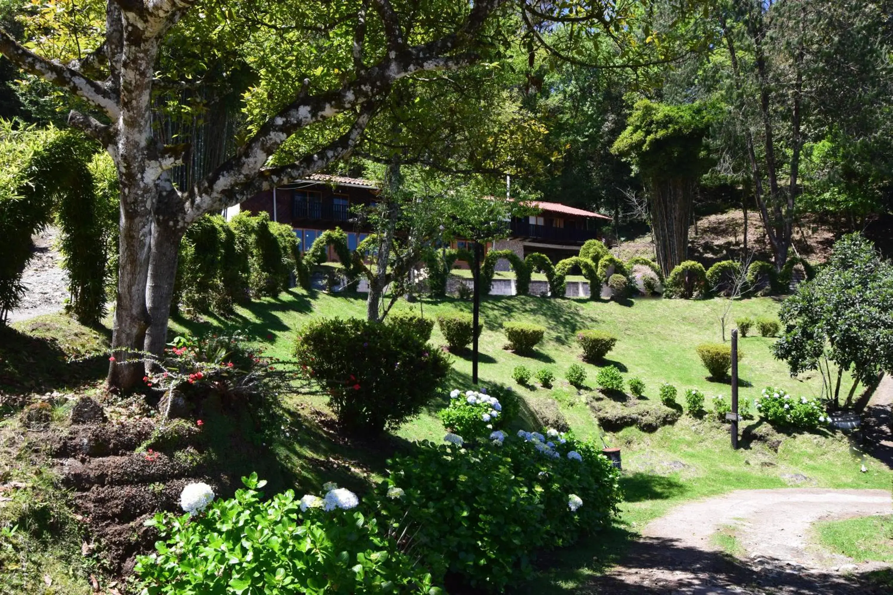 Campestre DAARLU Campestre DAARLU