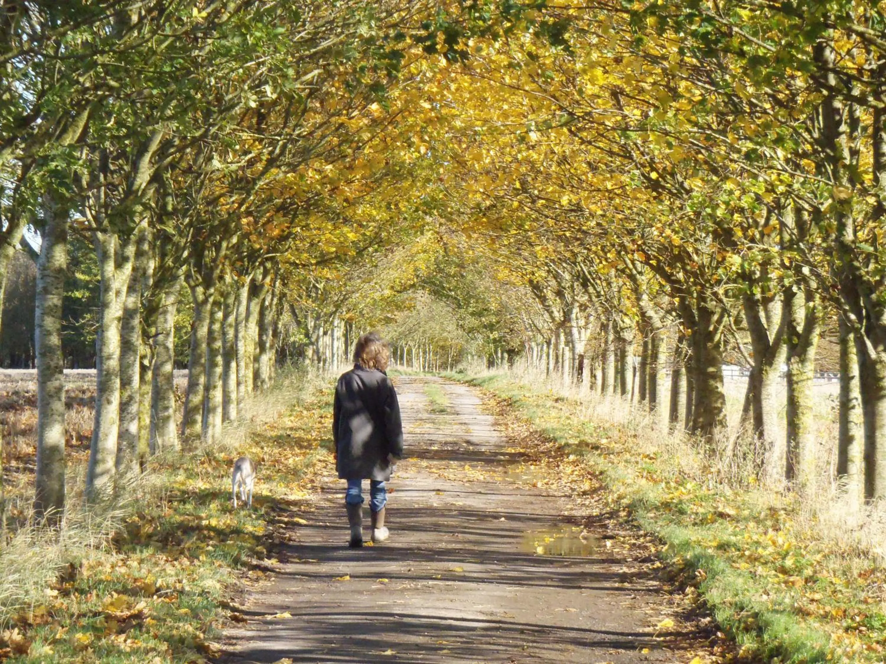 View (from property/room) in Manor Farm B&B