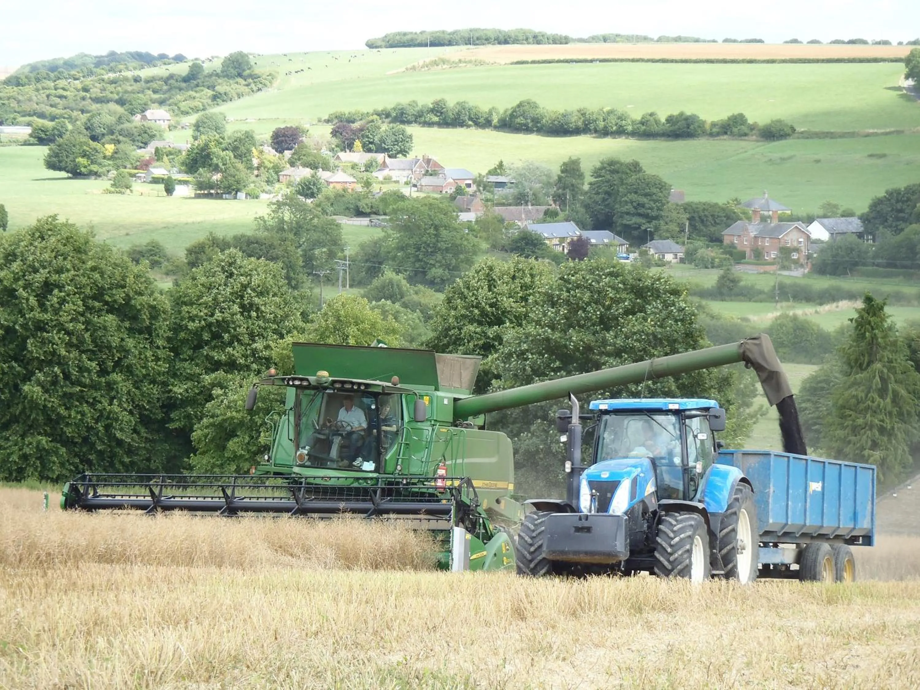 View (from property/room) in Manor Farm B&B