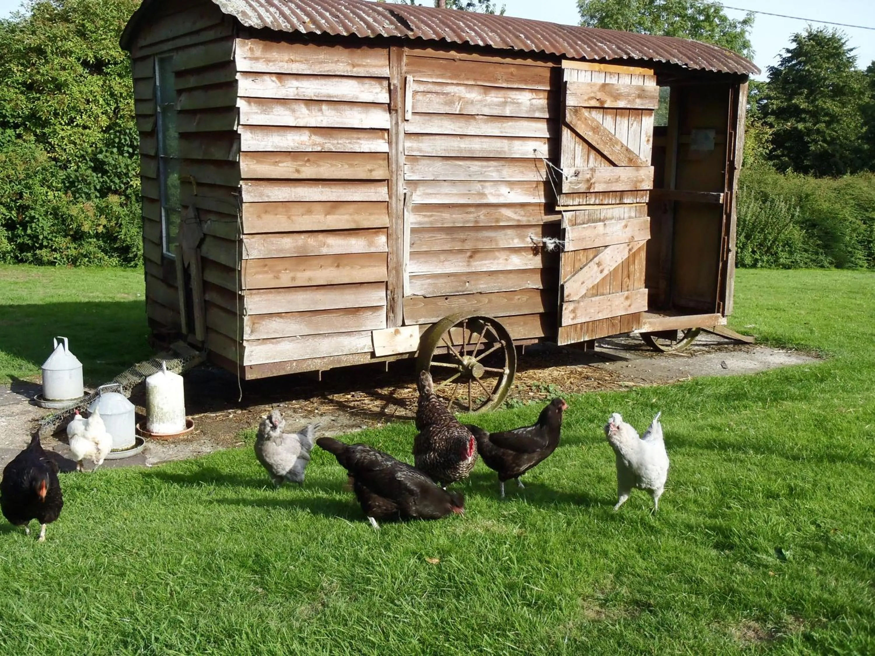 View (from property/room) in Manor Farm B&B