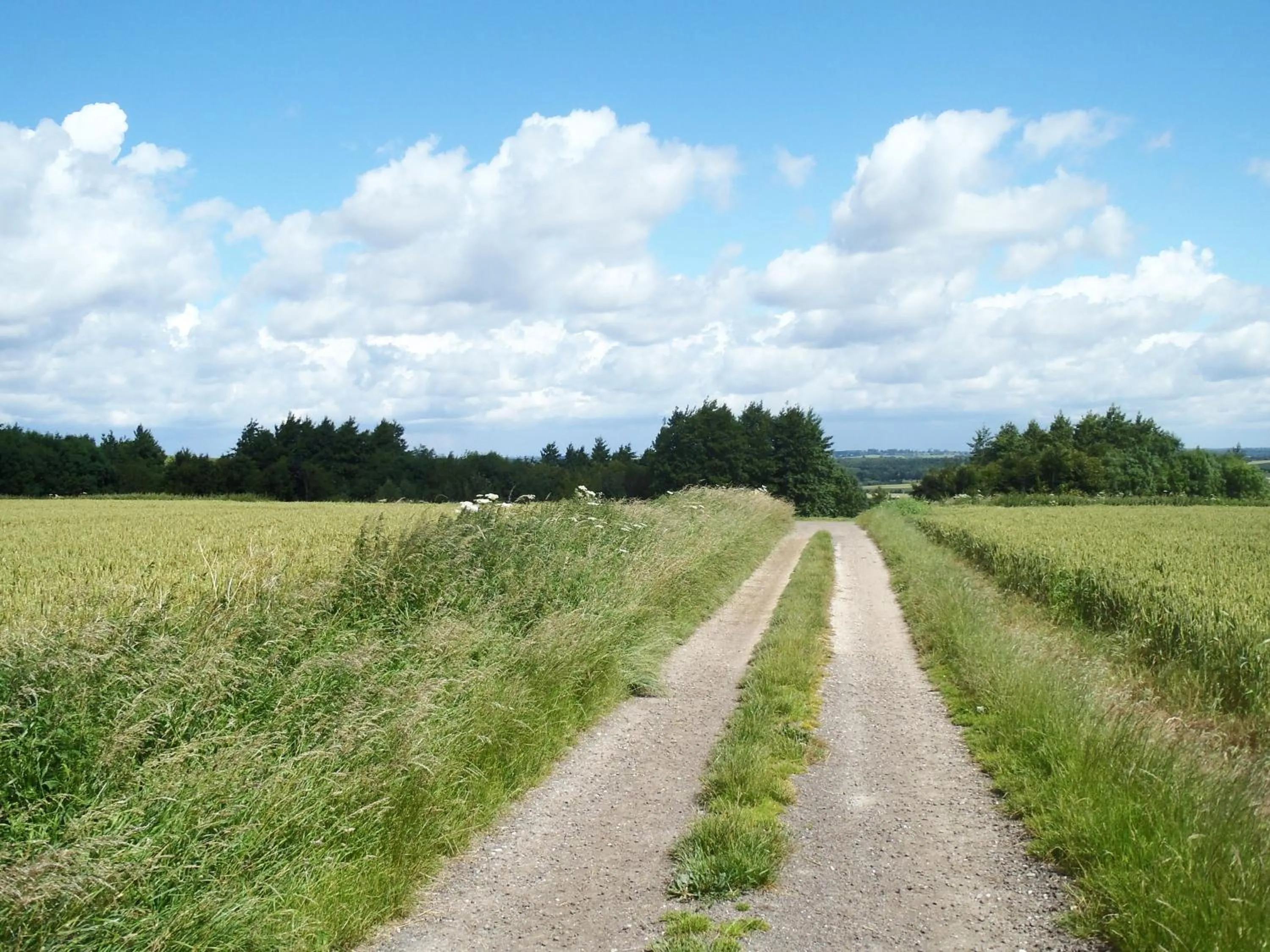 View (from property/room) in Manor Farm B&B