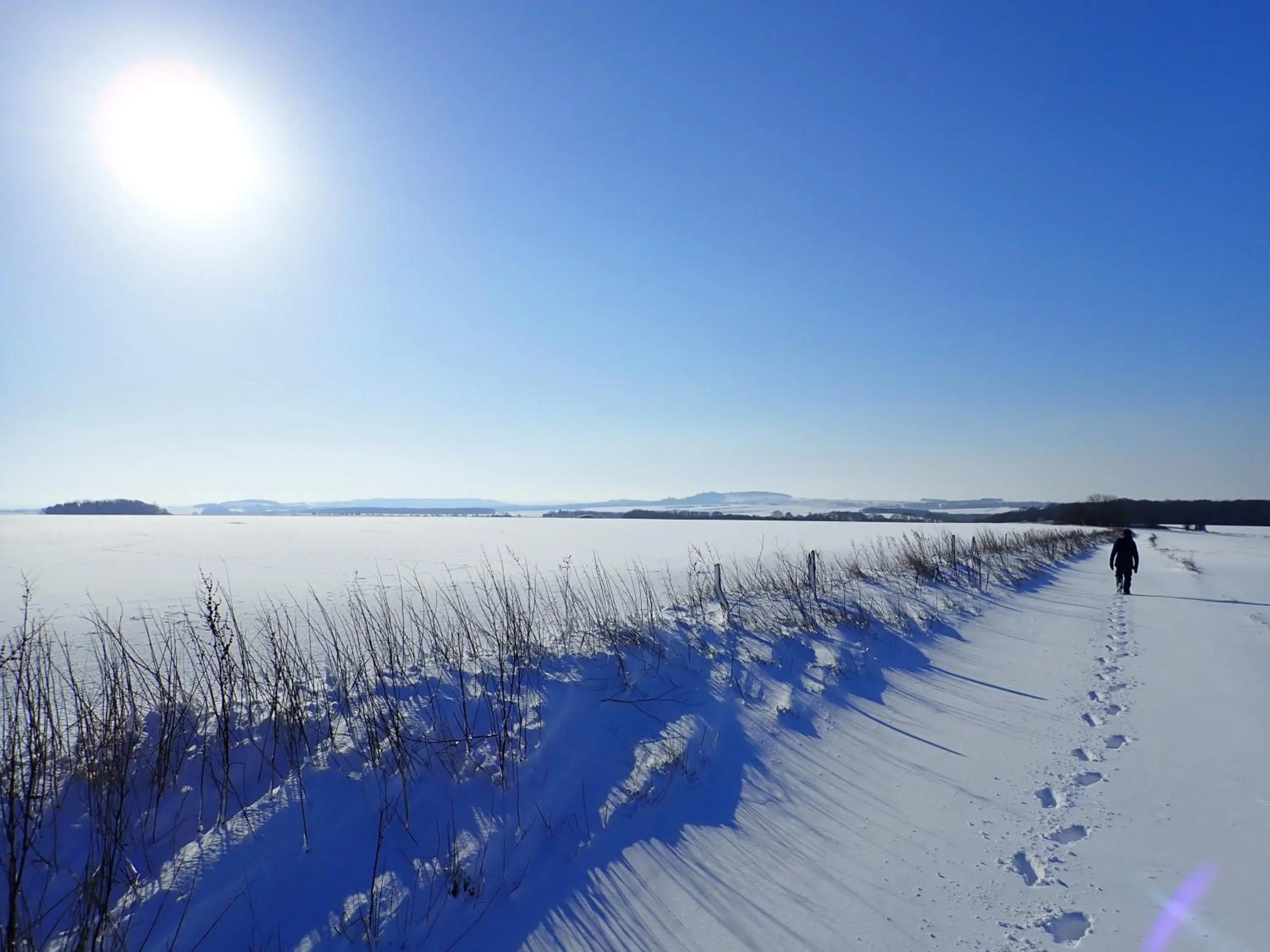 View (from property/room) in Manor Farm B&B