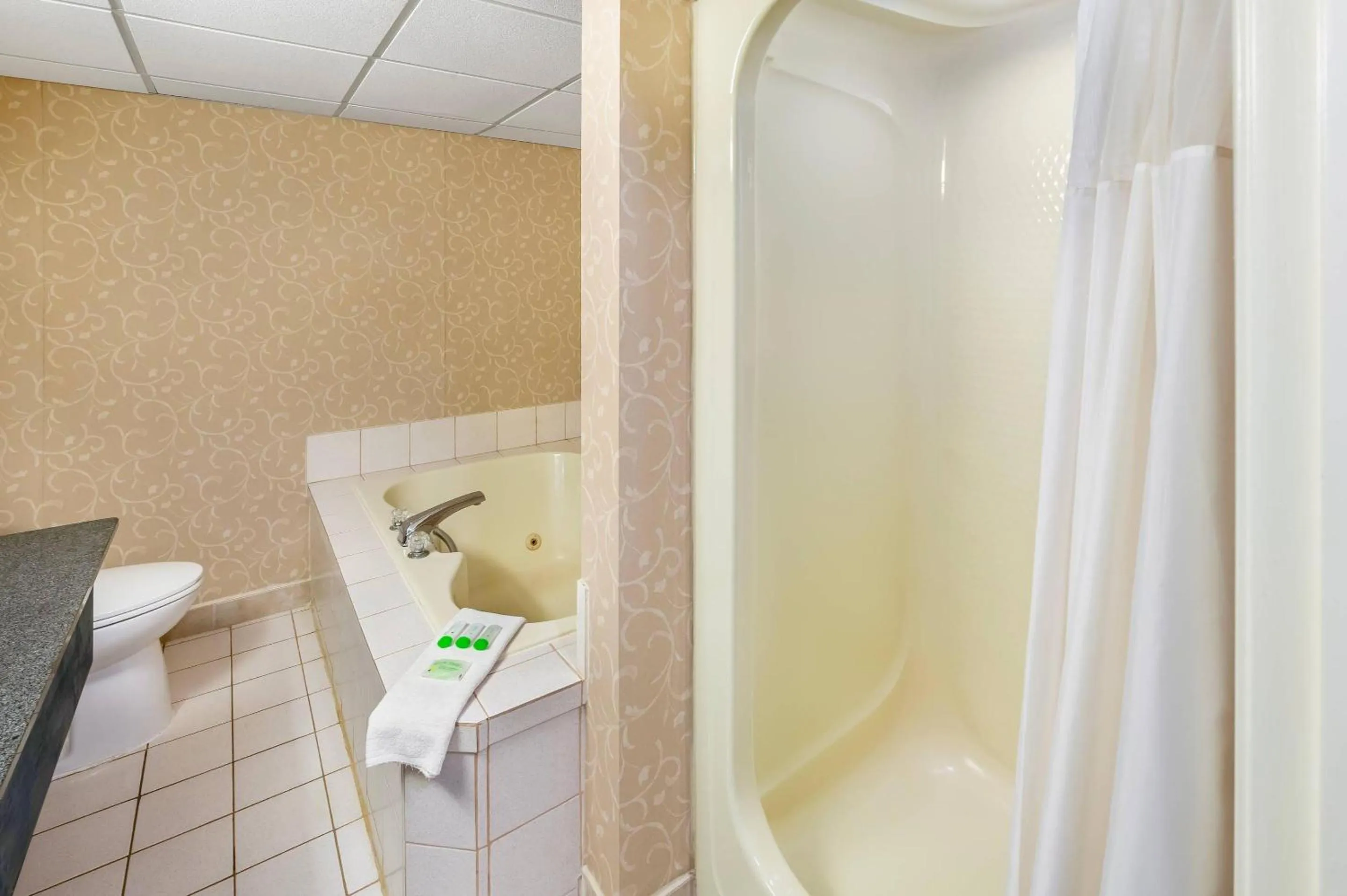 Other in Rodeway Inn Festival