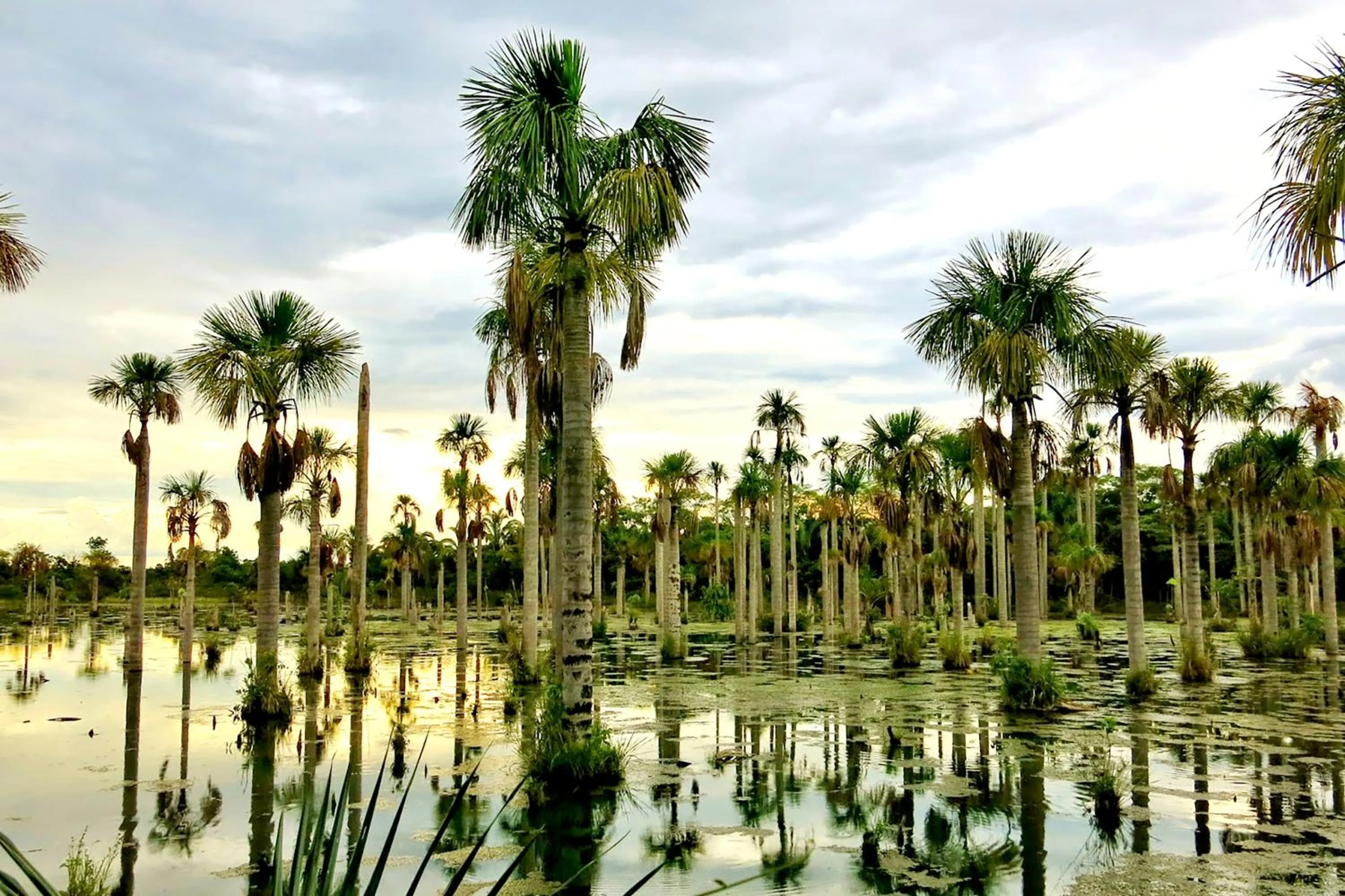 Nearby landmark in Chalé Container Nobres Asa Própria