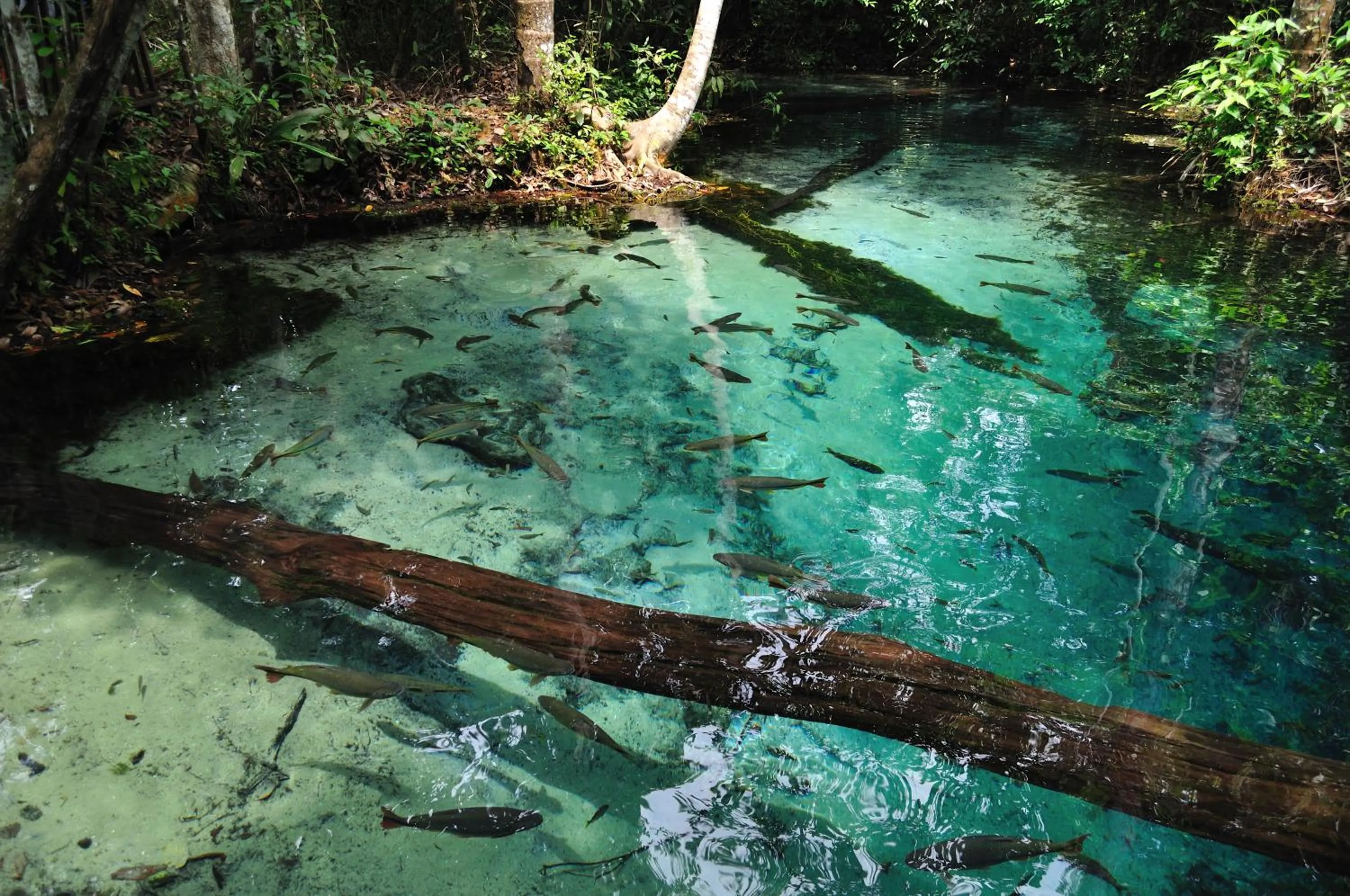 Nearby landmark in Chalé Container Nobres Asa Própria