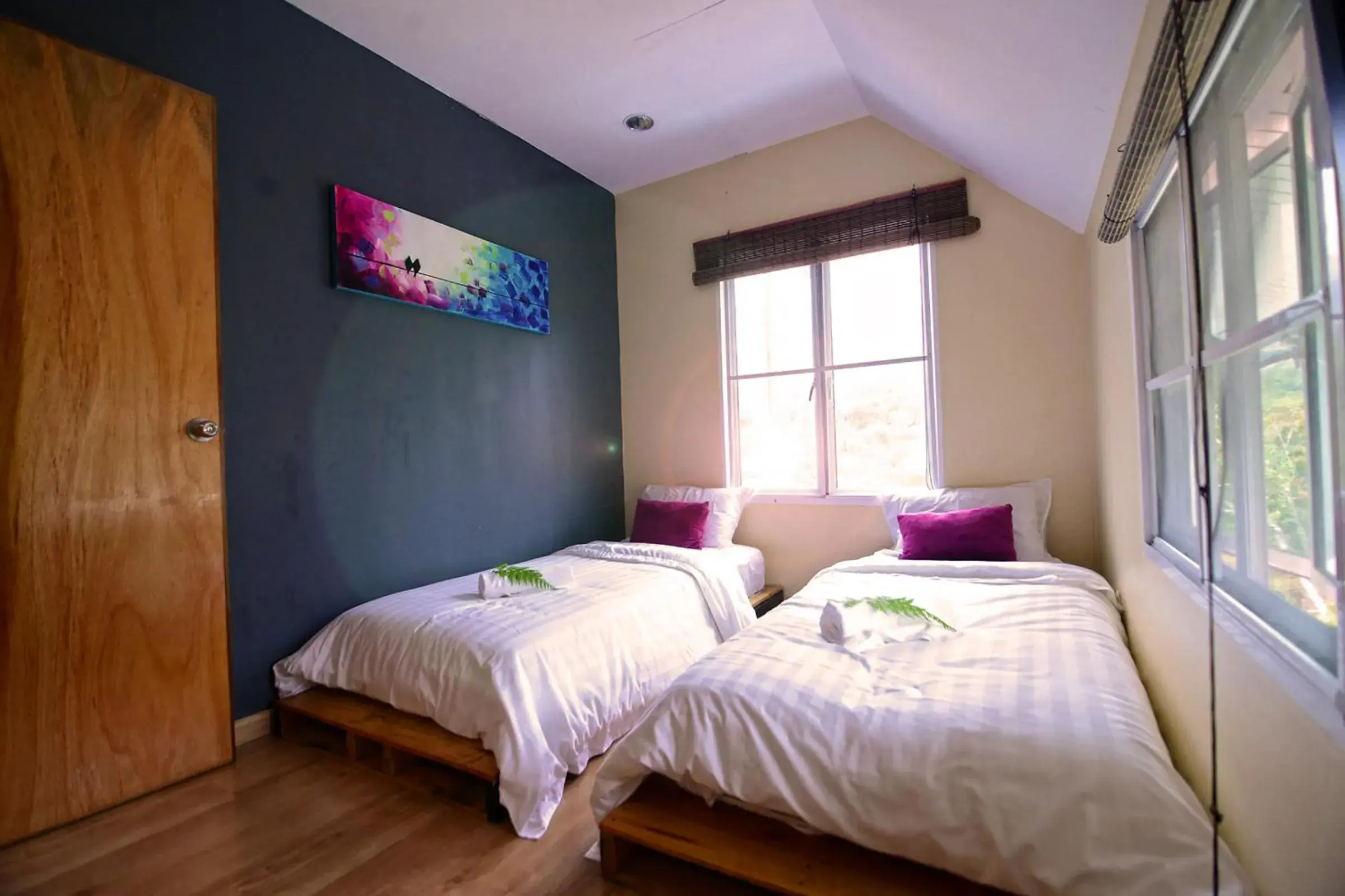 Day, Bed in T Paradise Day, Bed in T Paradise