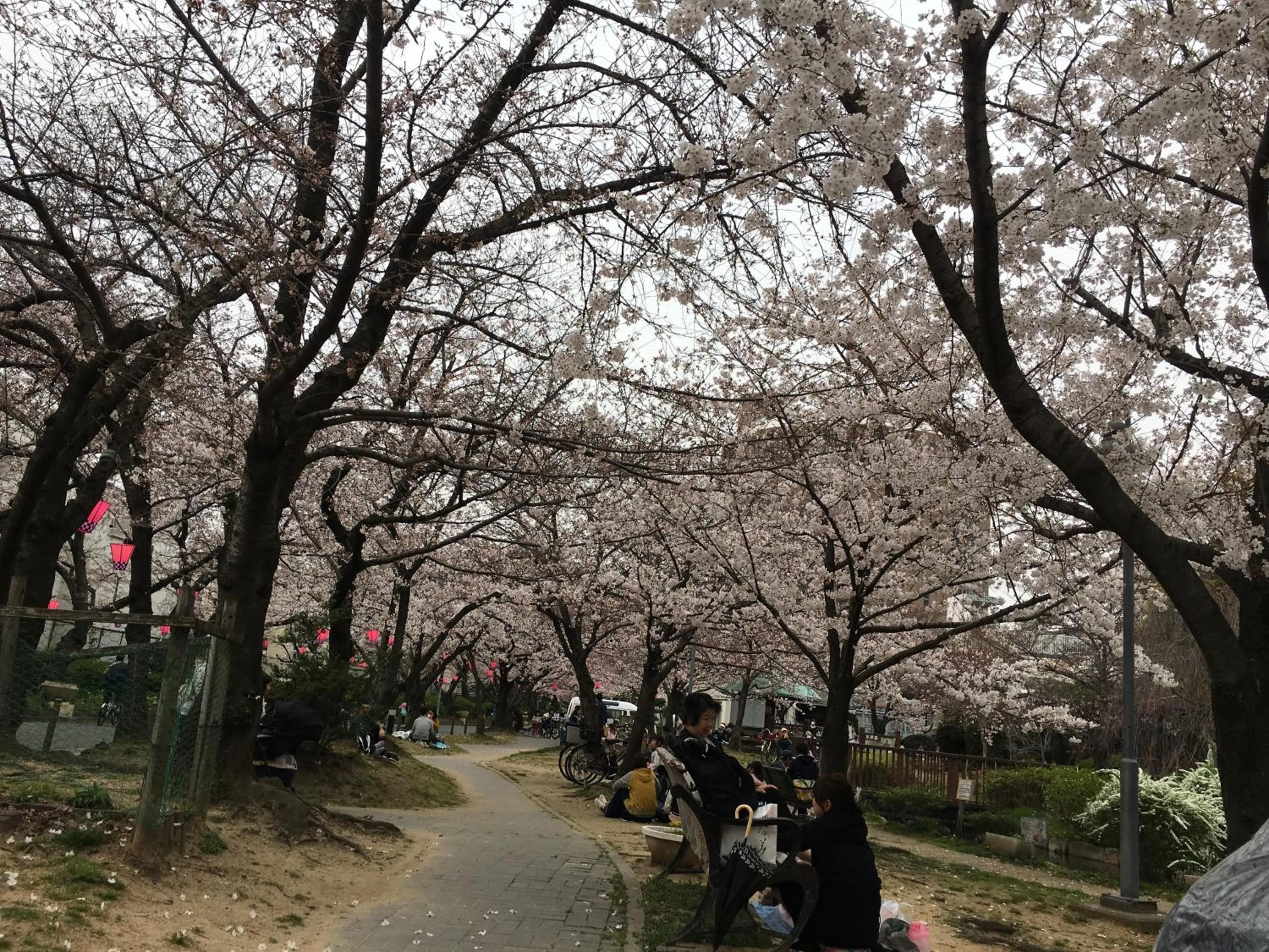 Off site in Yadocafe Chelsea's Rainbow B&B