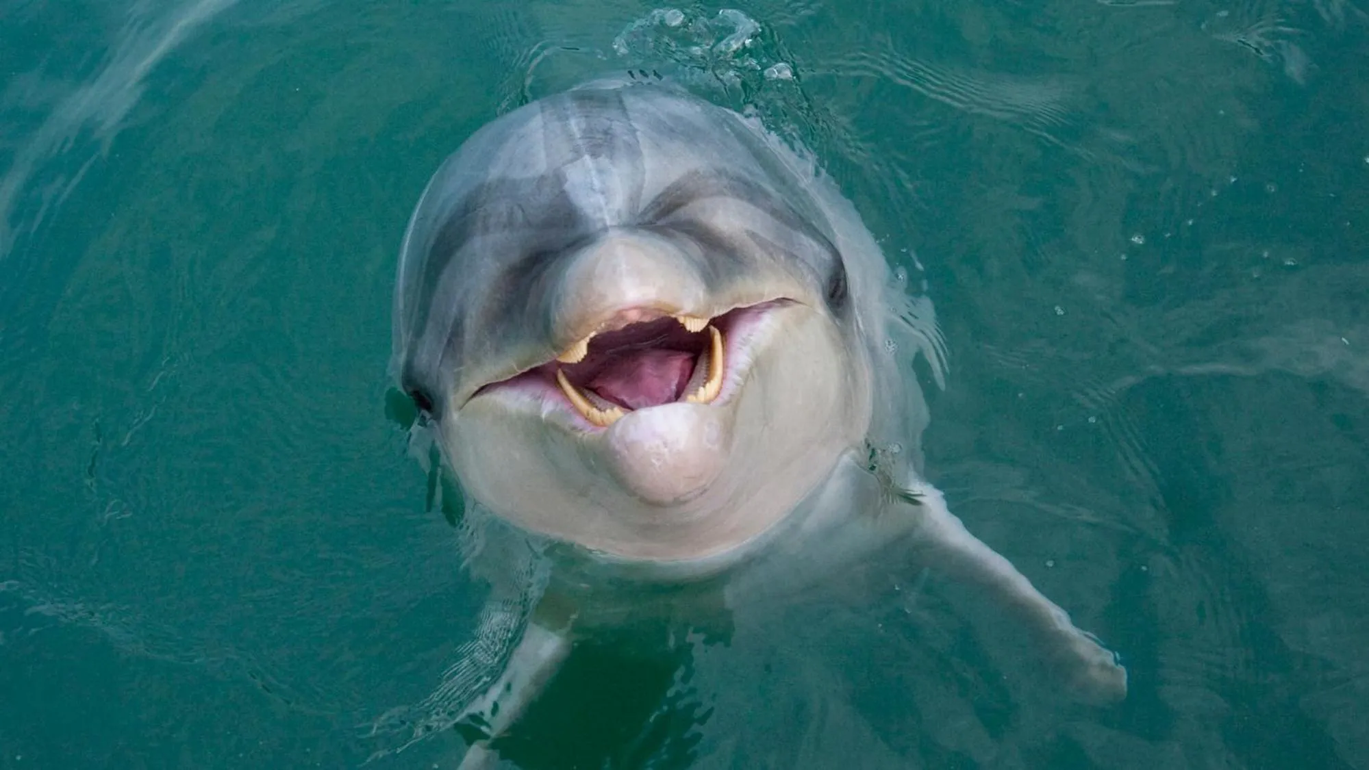 Nearby landmark in Iki Marina Hotel