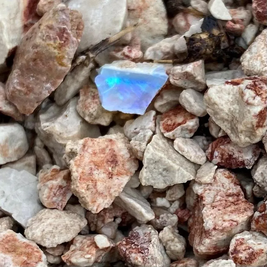 Natural landscape in White Cliffs Underground Motel
