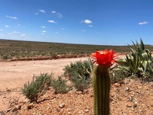 Natural landscape in White Cliffs Underground Motel