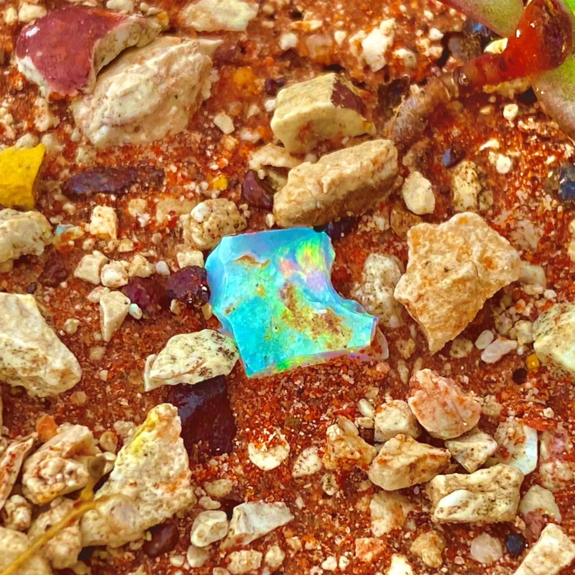 Natural landscape in White Cliffs Underground Motel