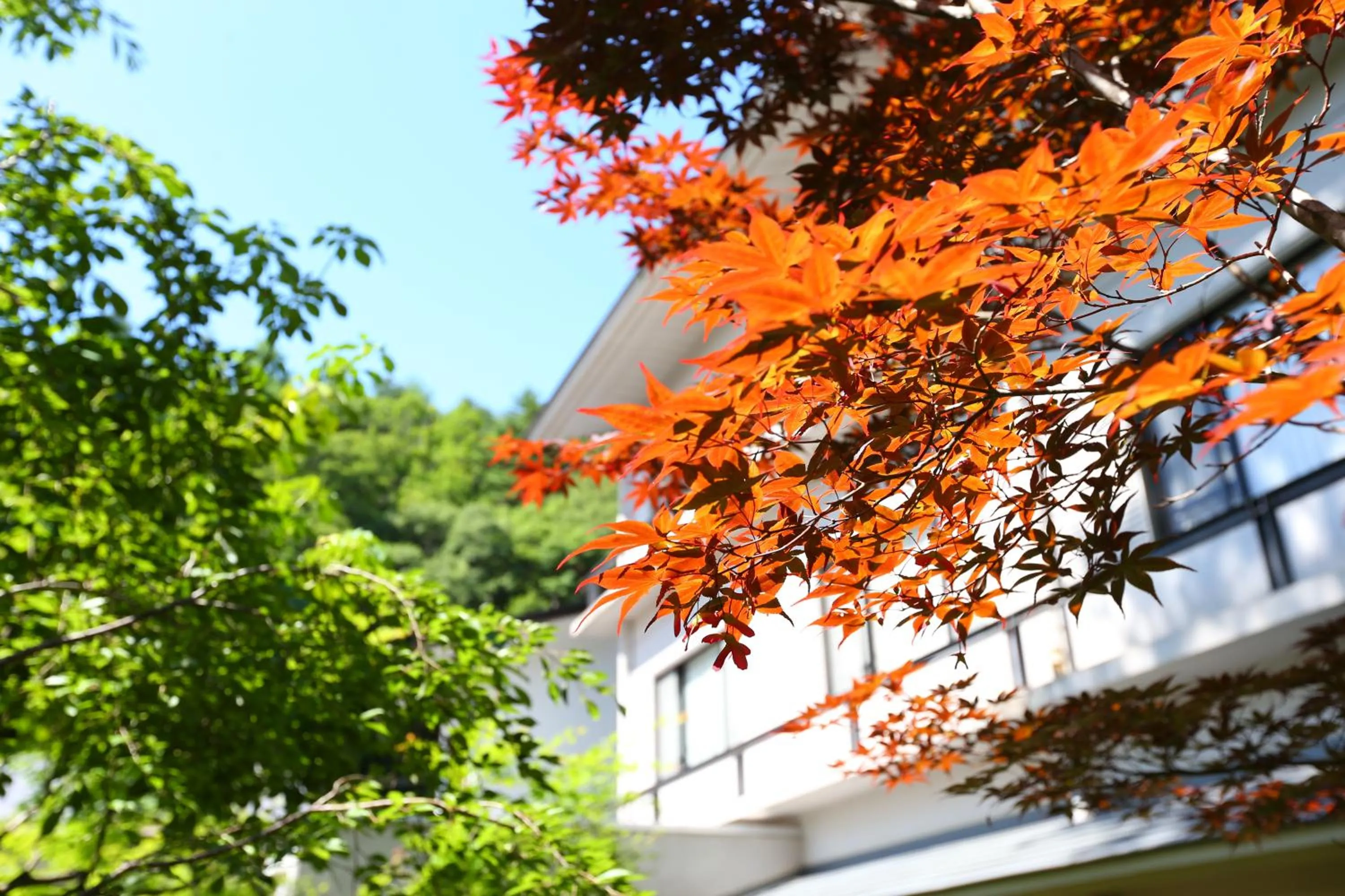 Area and facilities in Nukumorino-yado Komanoyu