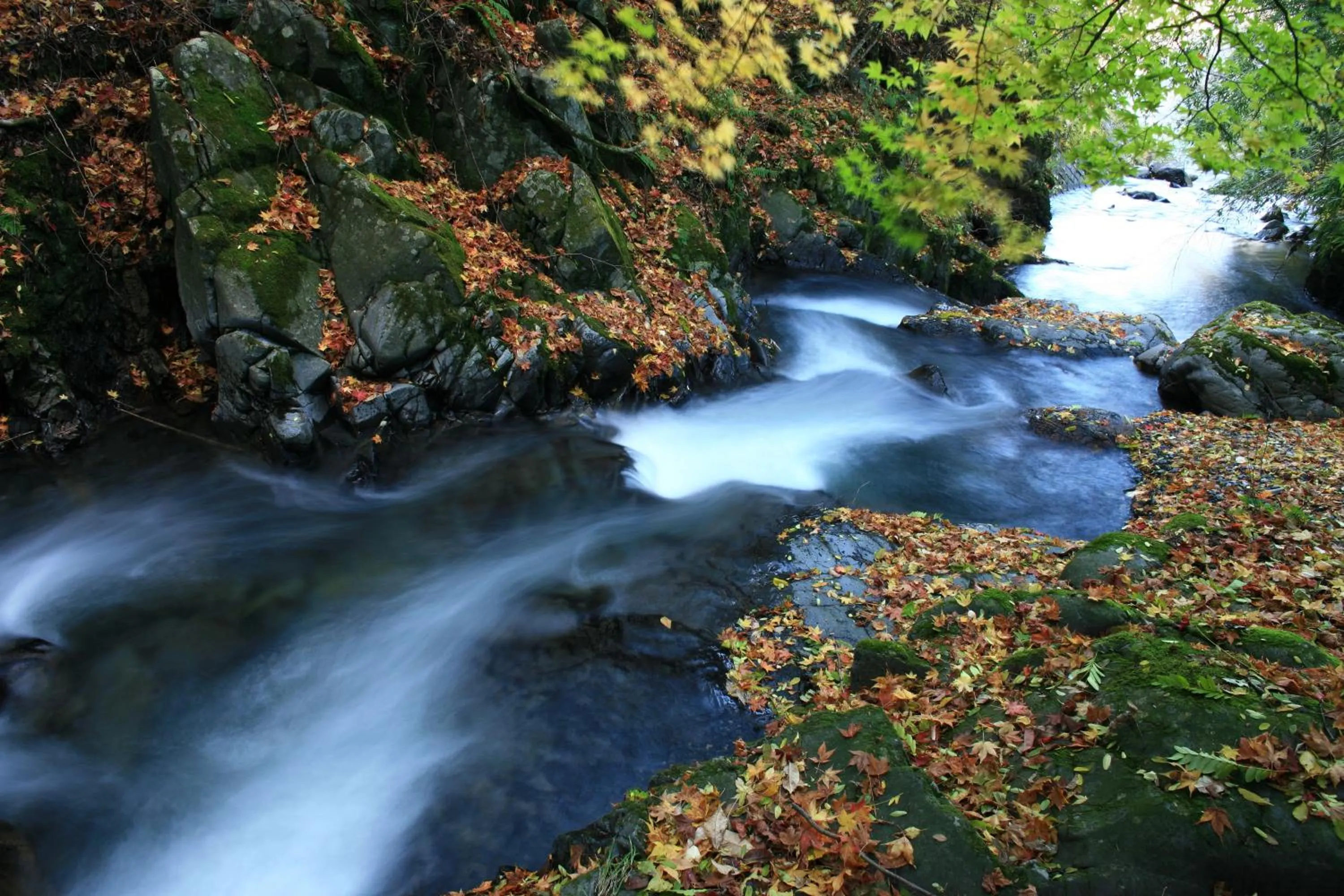 Autumn in Nukumorino-yado Komanoyu