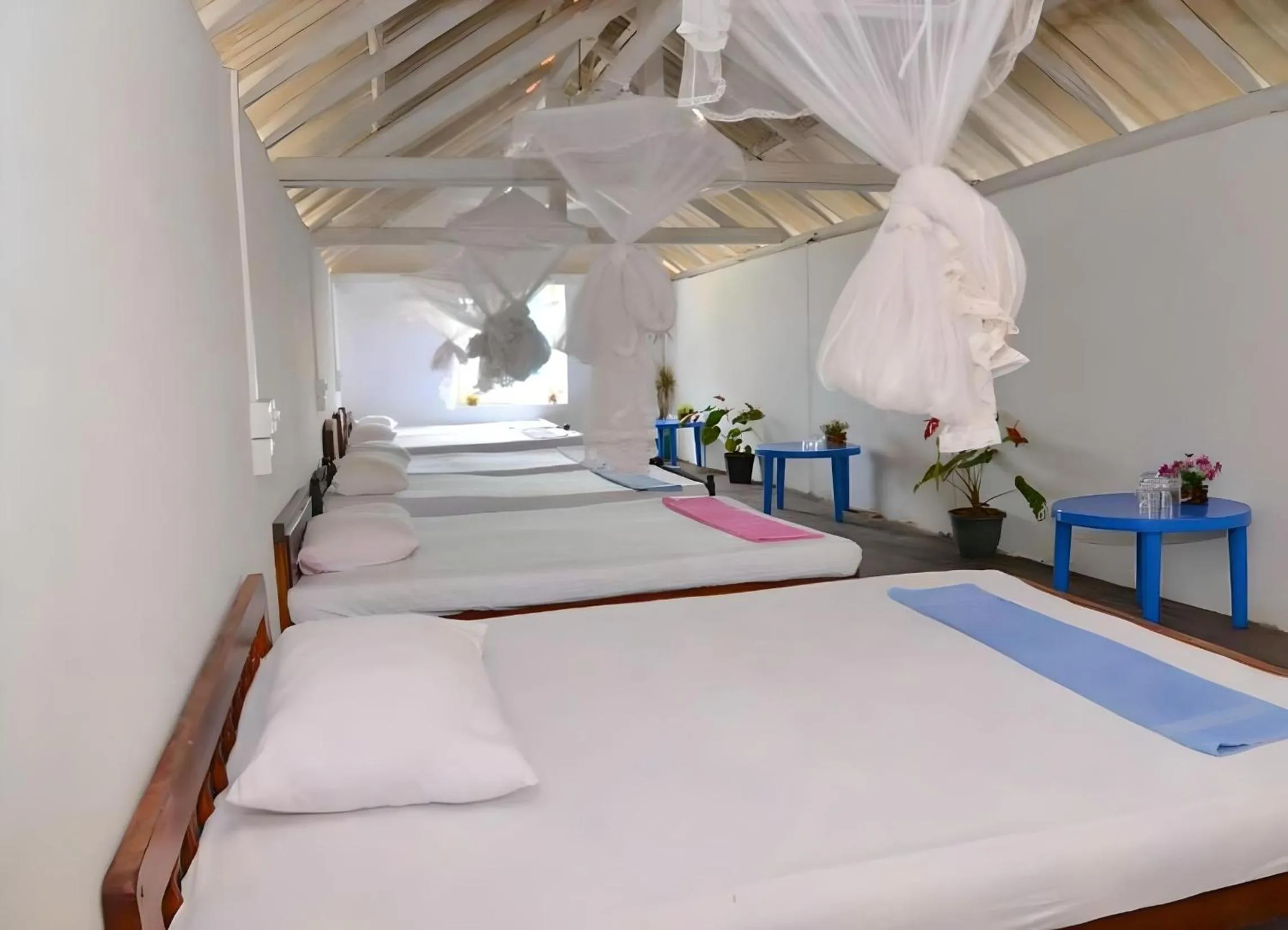 Photo of the whole room, Bed in Traveller's Hostel Hikkaduwa
