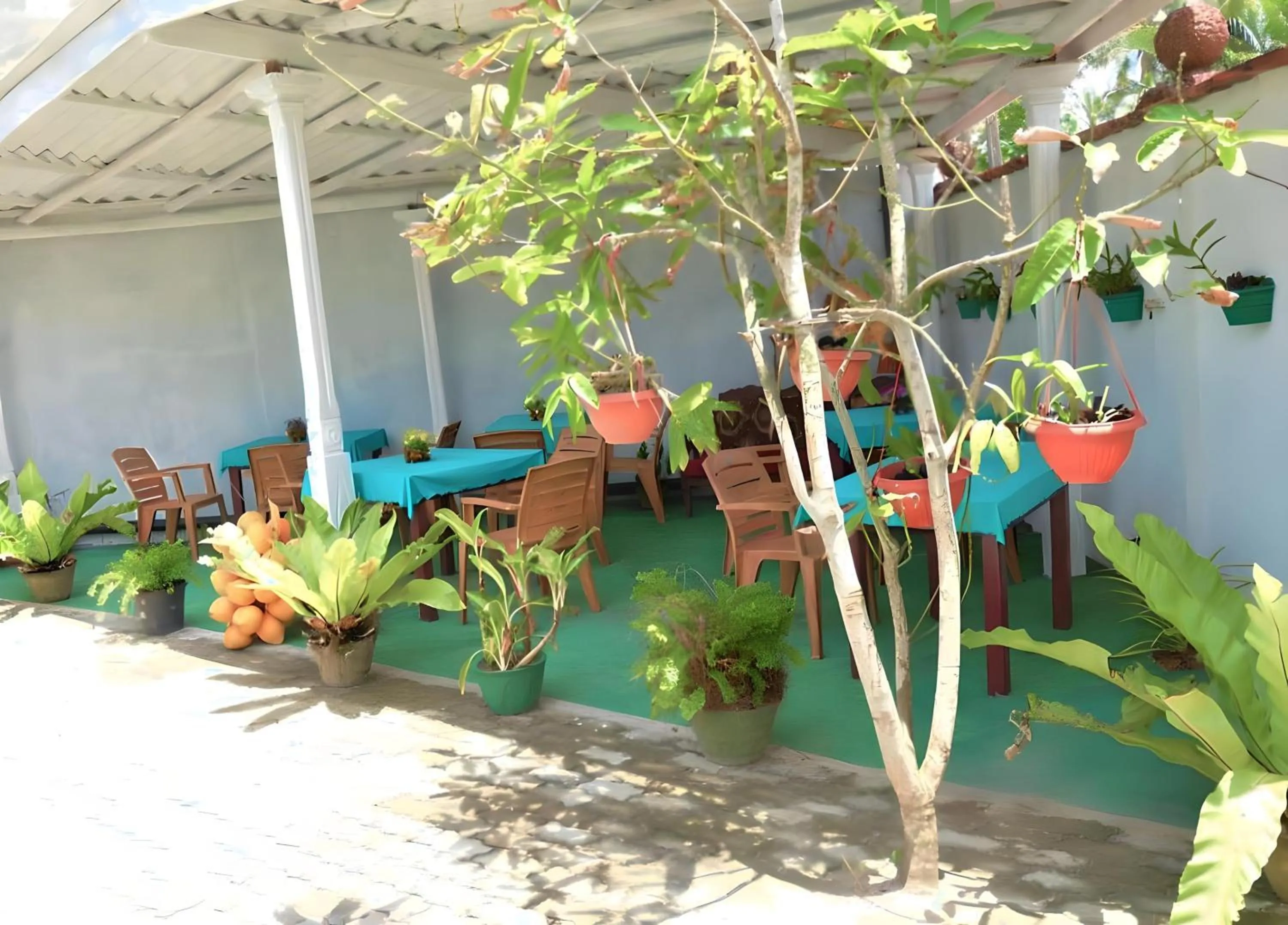 Day in Traveller's Hostel Hikkaduwa