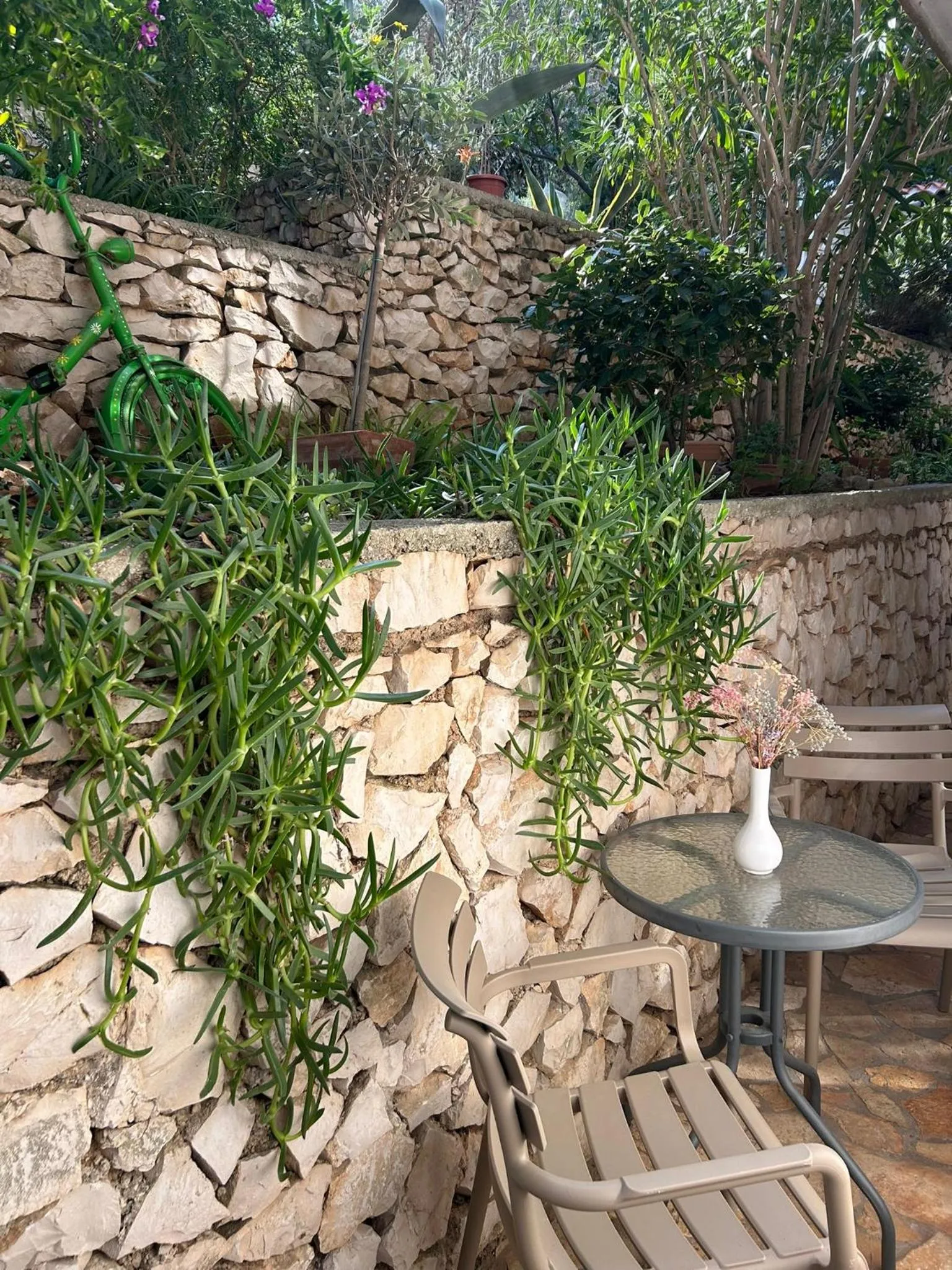 Patio in Hotel Vila Tina