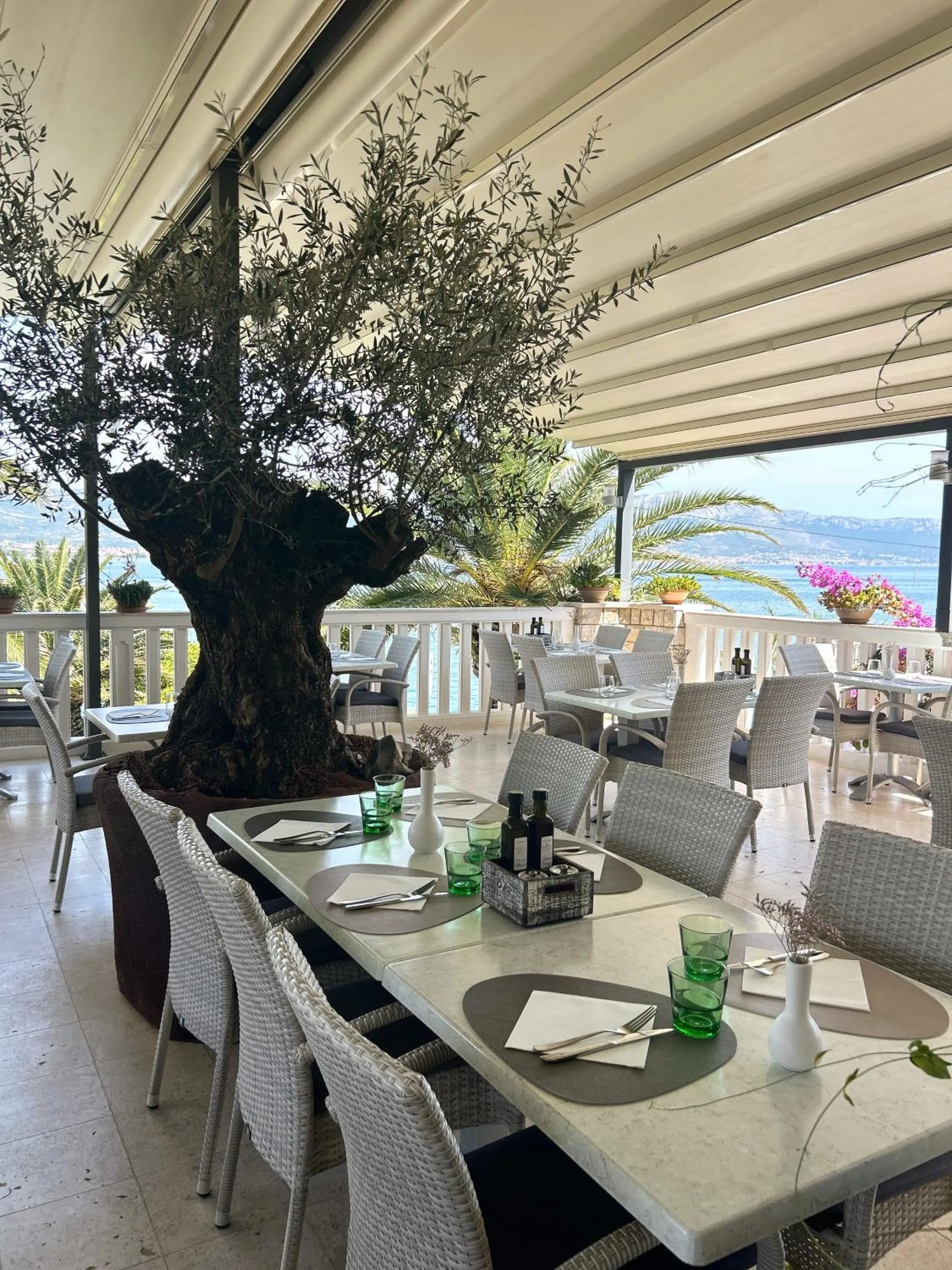 Restaurant/places to eat in Hotel Vila Tina