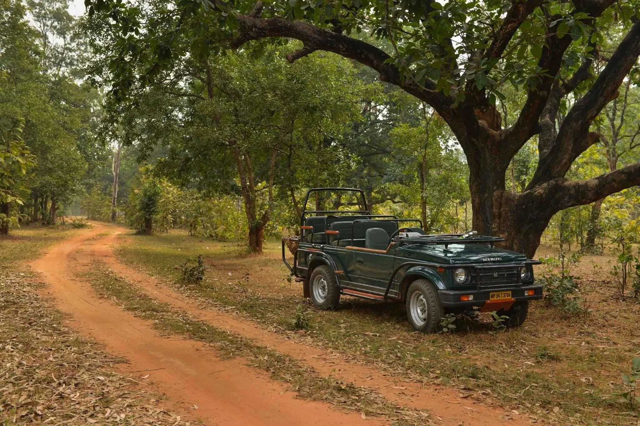 Property building in Syna Tiger Resort Bandhavgarh