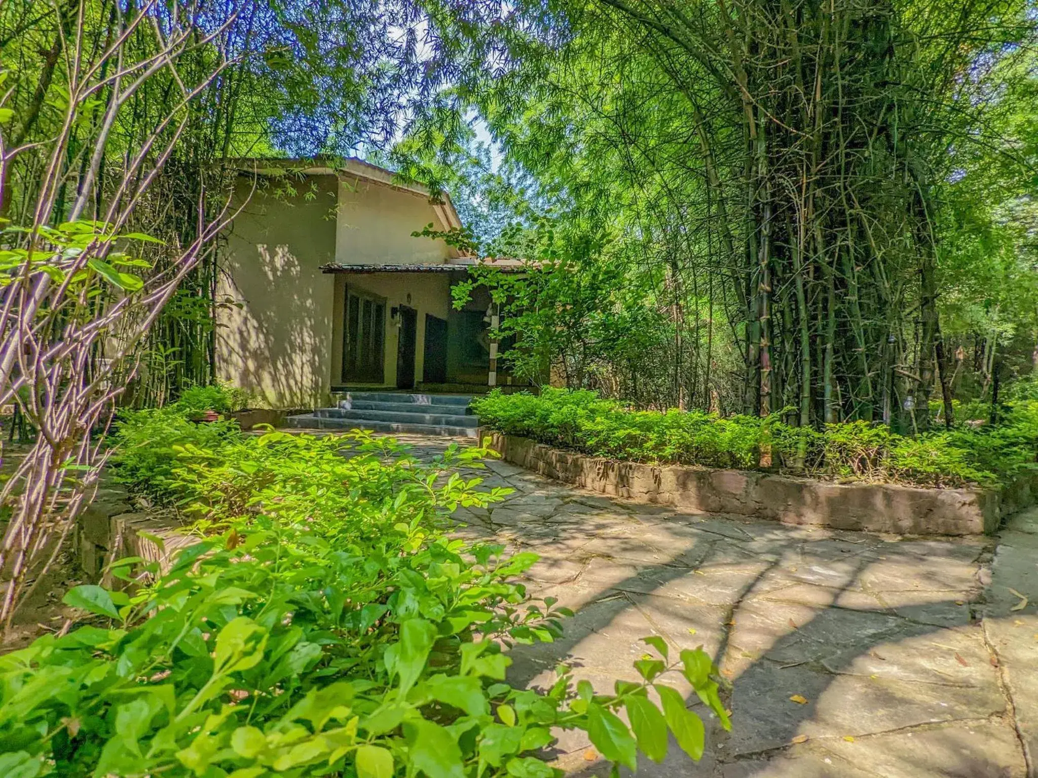 Property building in Syna Tiger Resort Bandhavgarh Property building in Syna Tiger Resort Bandhavgarh