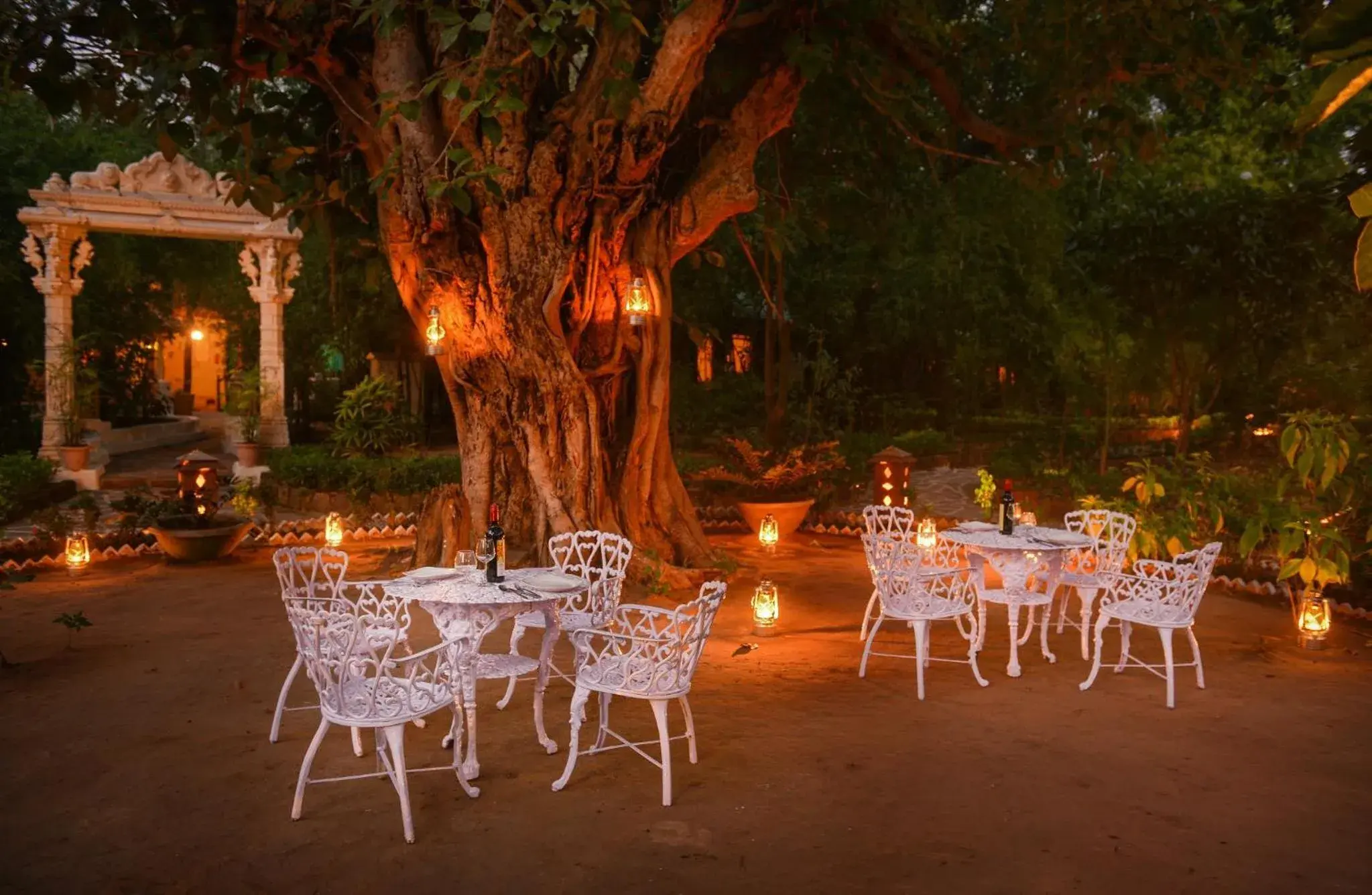 Restaurant/places to eat in Syna Tiger Resort Bandhavgarh Restaurant/places to eat in Syna Tiger Resort Bandhavgarh