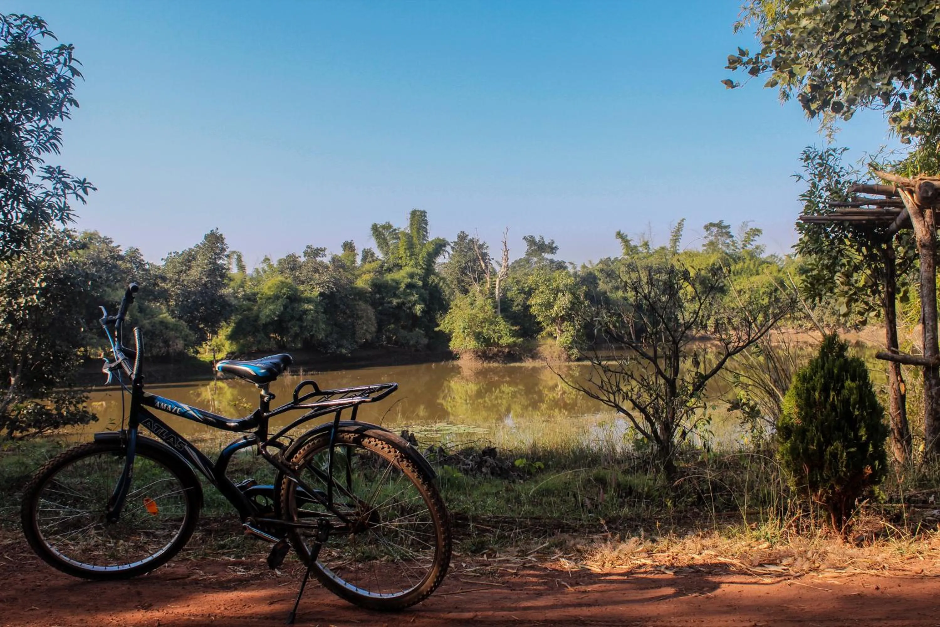 Cycling in Syna Tiger Resort Bandhavgarh