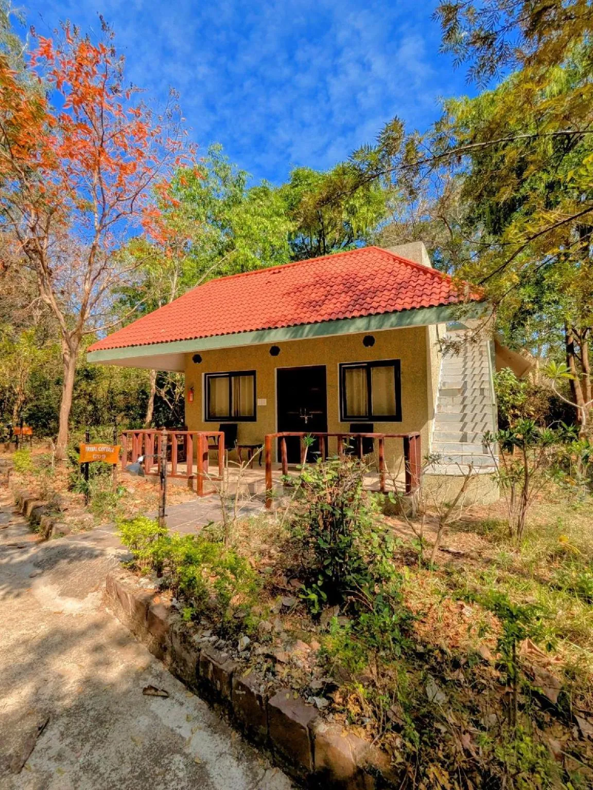 View (from property/room) in Syna Tiger Resort Bandhavgarh