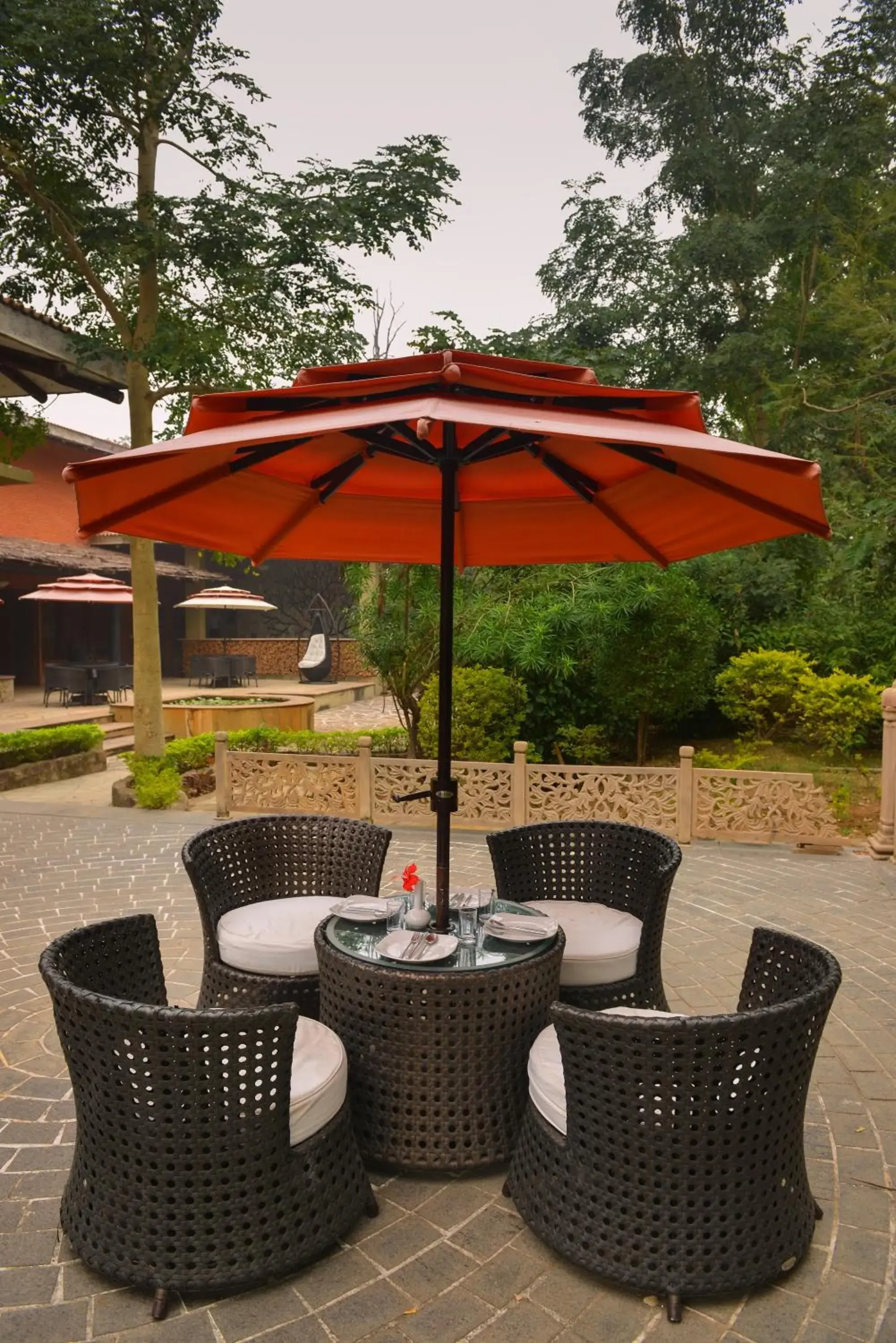 Restaurant/places to eat in Syna Tiger Resort Bandhavgarh Restaurant/places to eat in Syna Tiger Resort Bandhavgarh