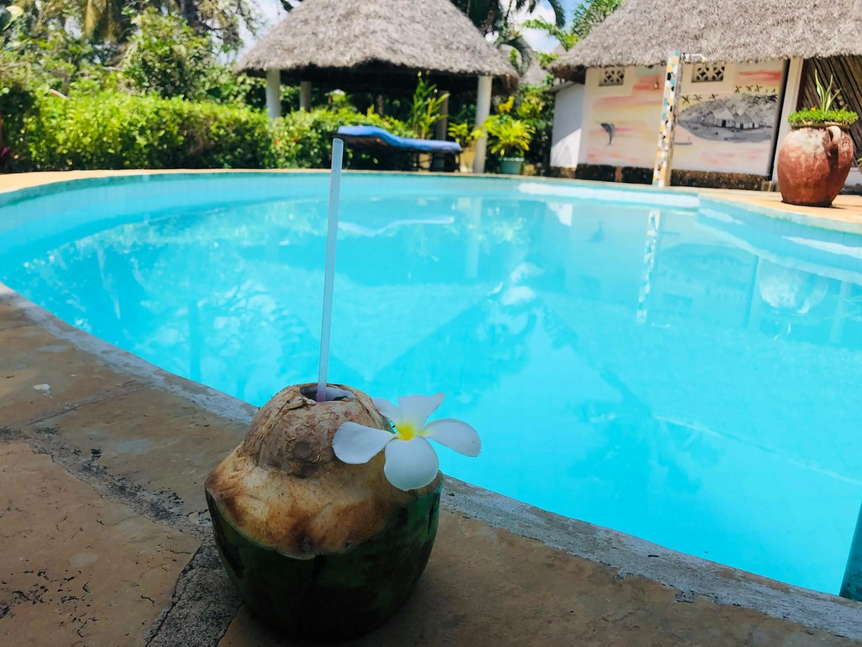 Pool view in Villa Madinina
