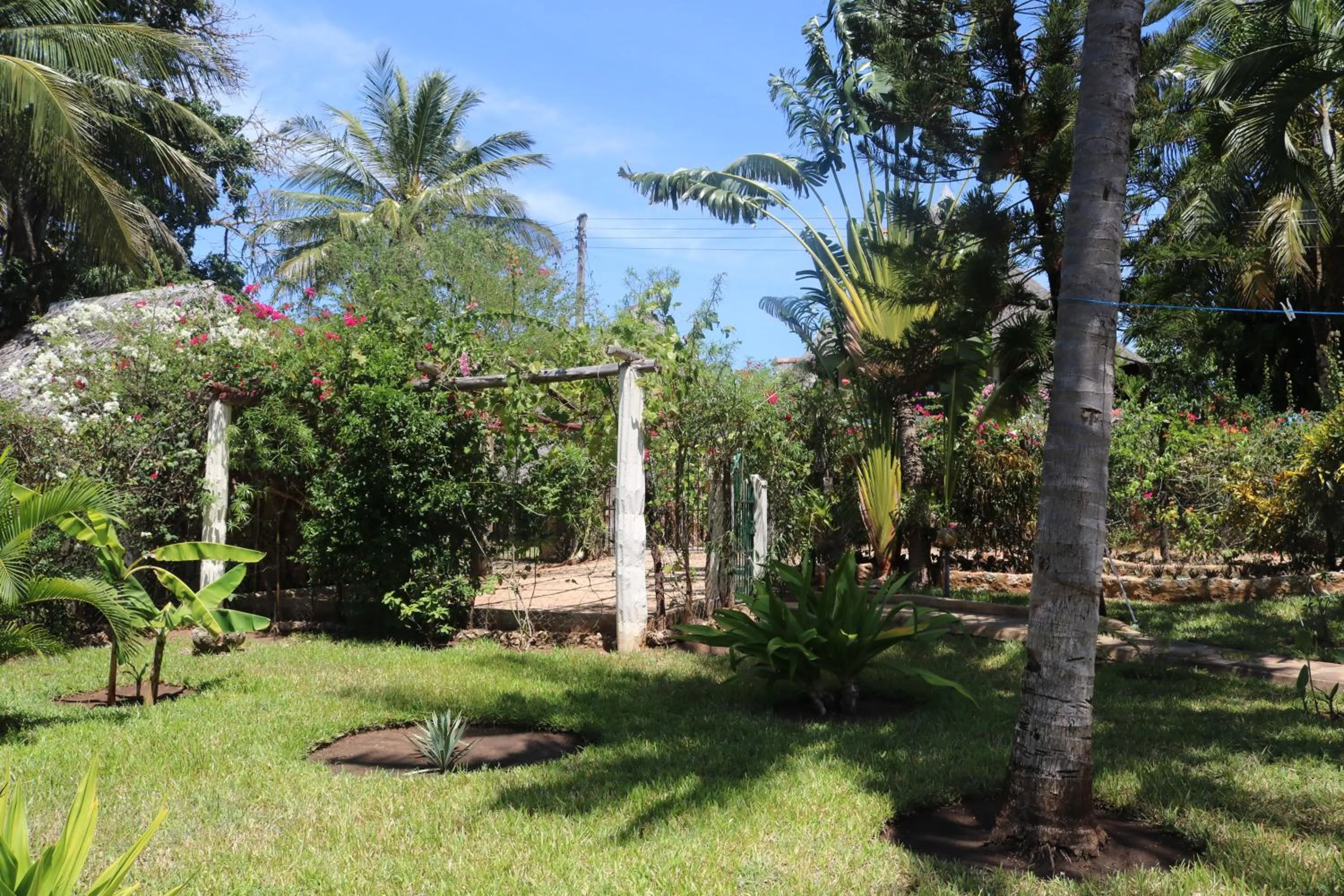Garden in Villa Madinina