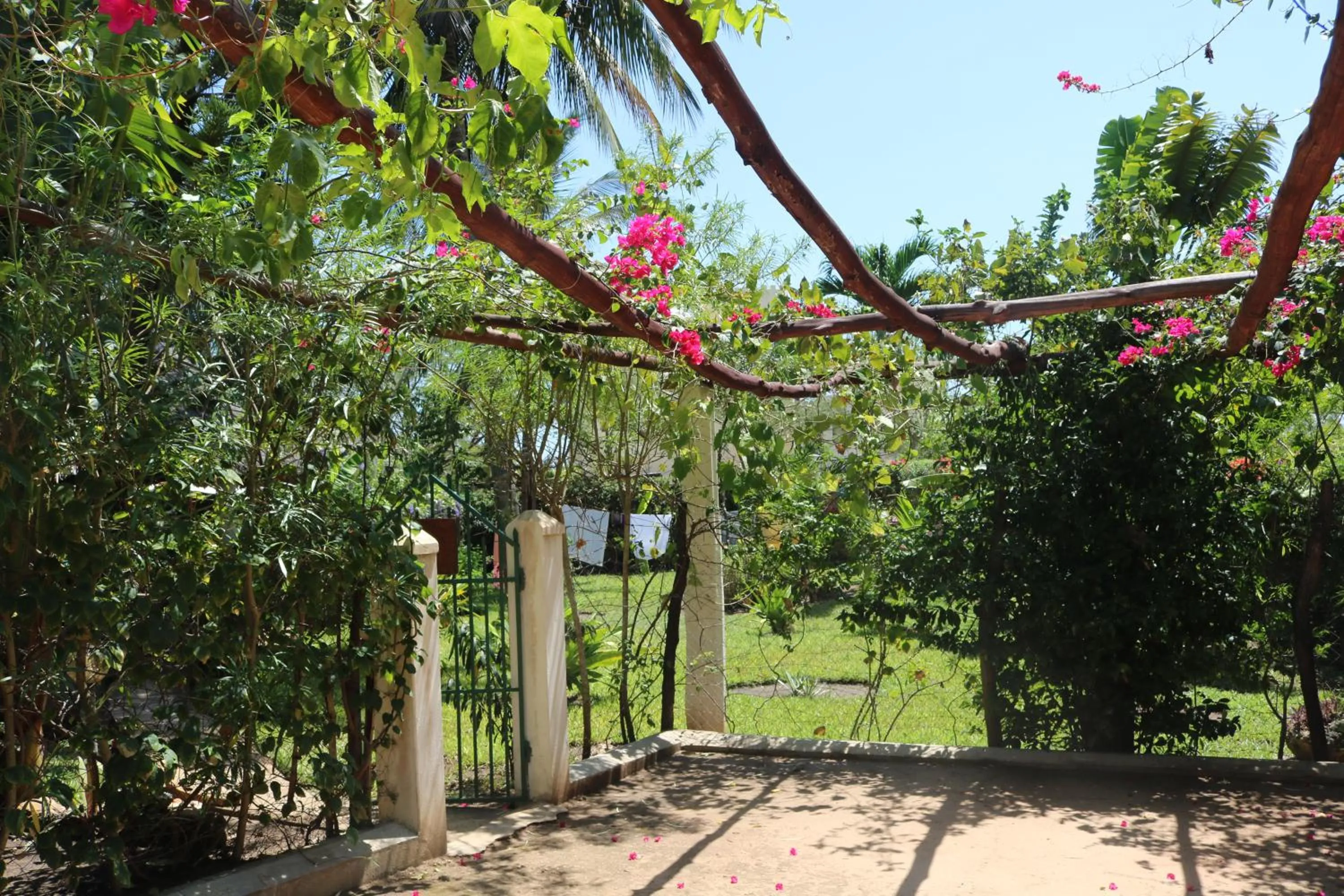 Garden in Villa Madinina