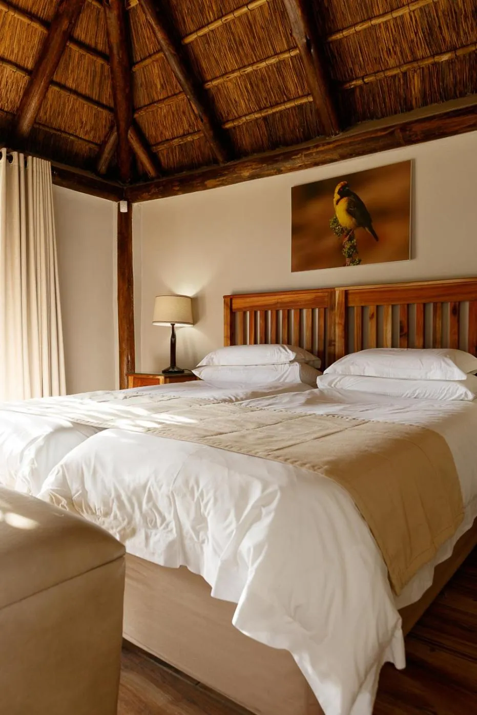 Bedroom, Bed in Addo Wildlife