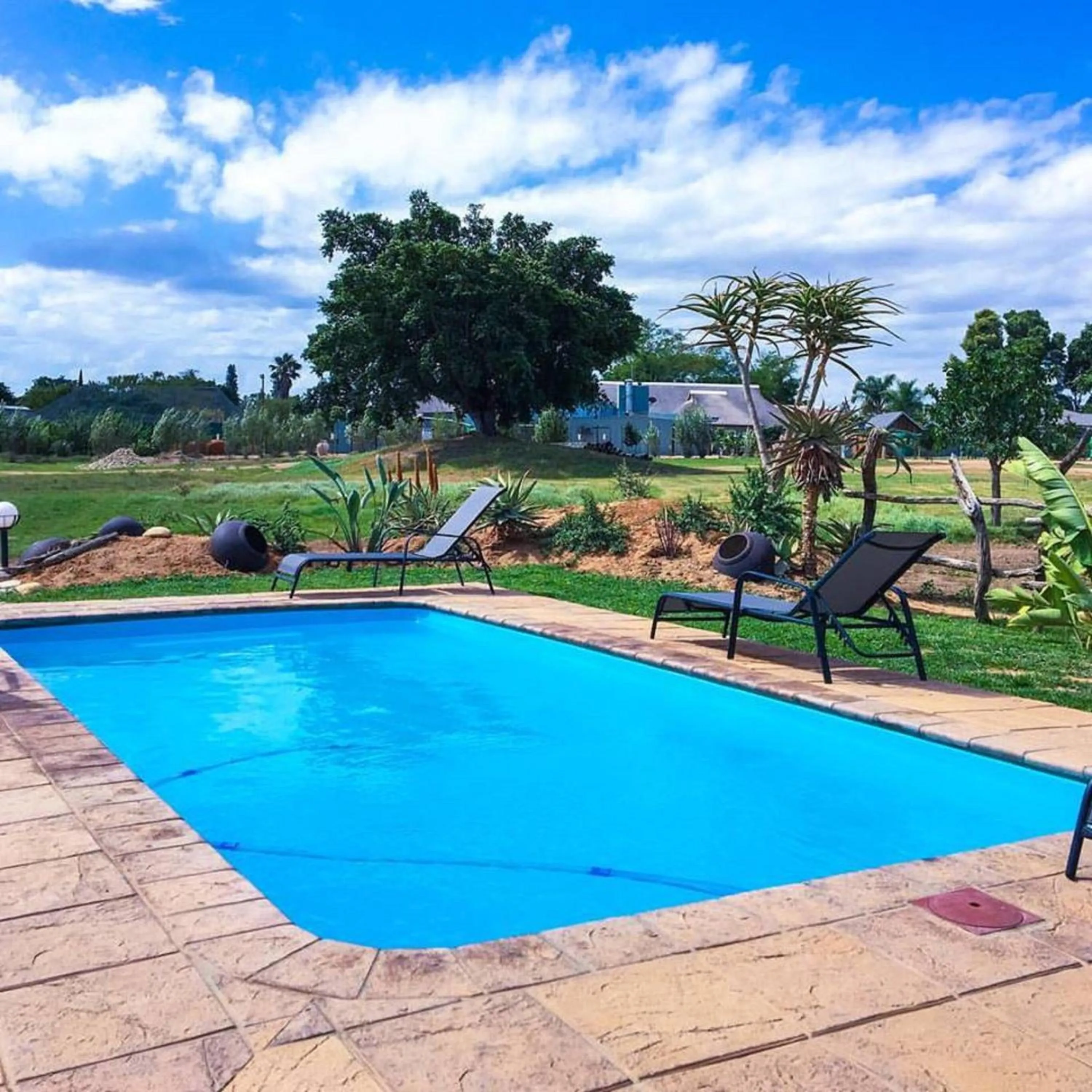 Swimming pool in Addo Wildlife