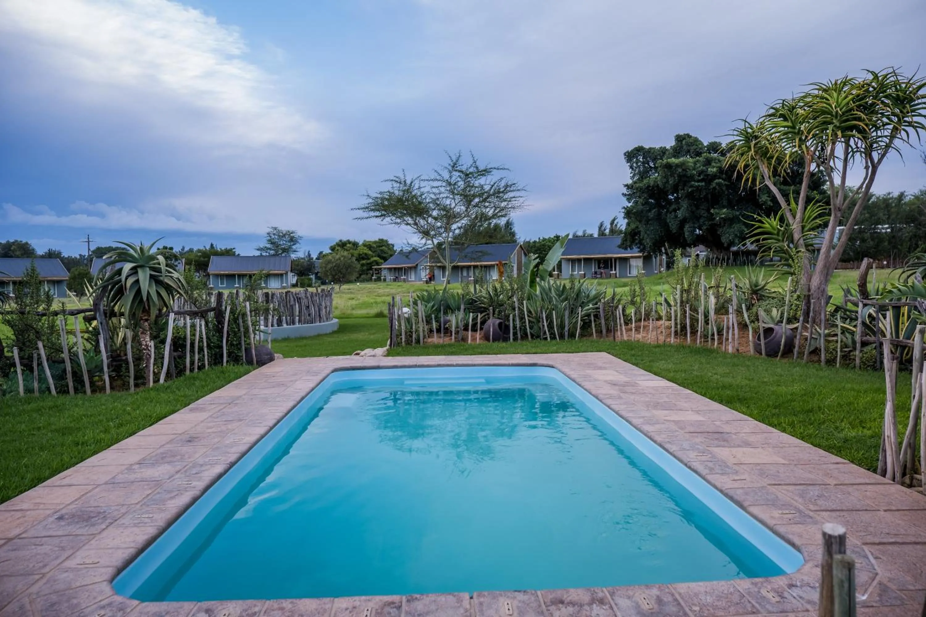Swimming pool in Addo Wildlife