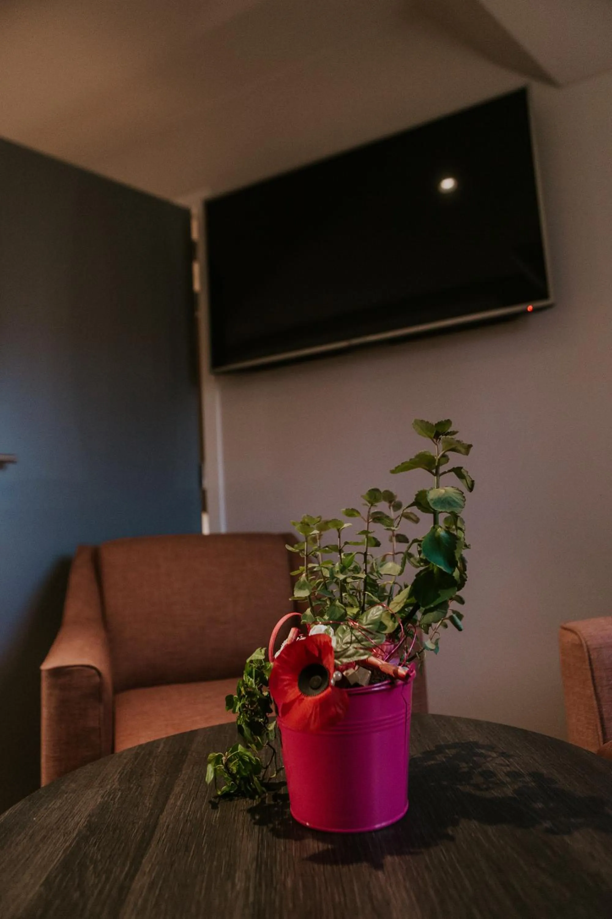 TV and multimedia in Hotel New Regina