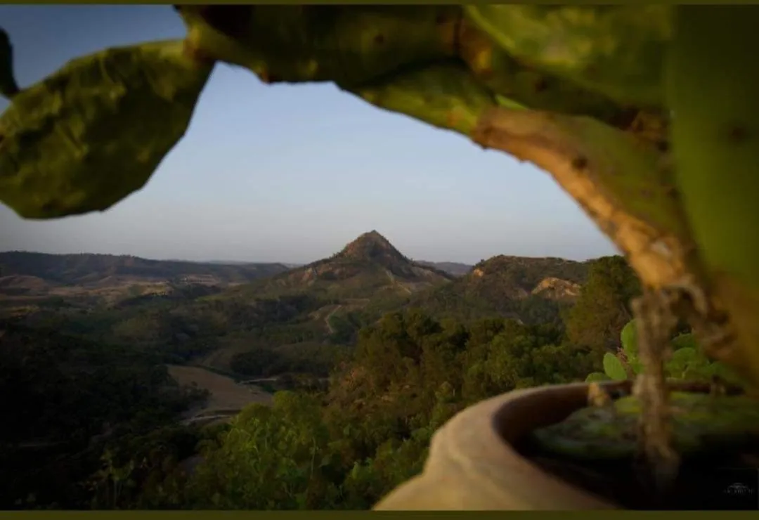 Natural landscape in Alessi Suites & Studio