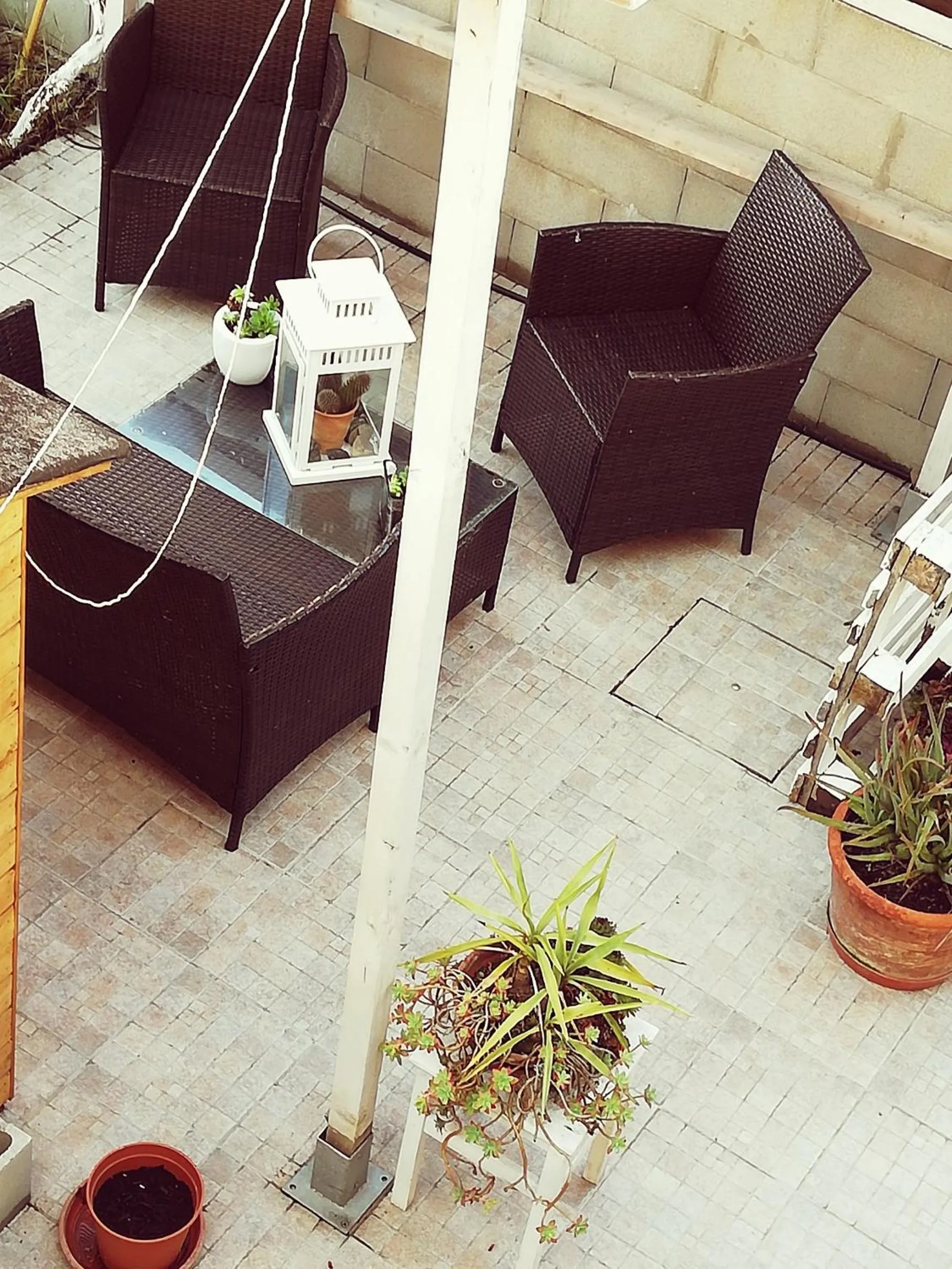 Garden in B & B Eliana