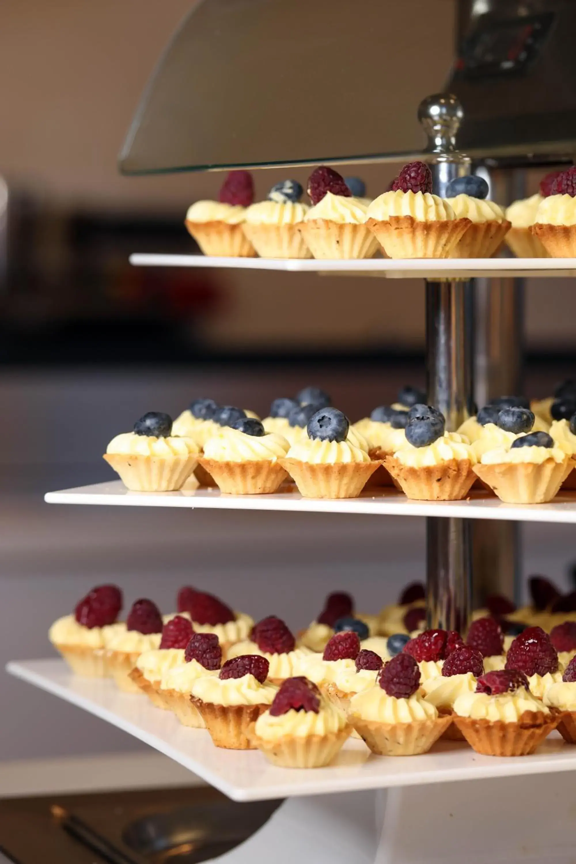 Food and drinks in Rome Palace Deluxe - All Inclusive Premium Food and drinks in Rome Palace Deluxe - All Inclusive Premium