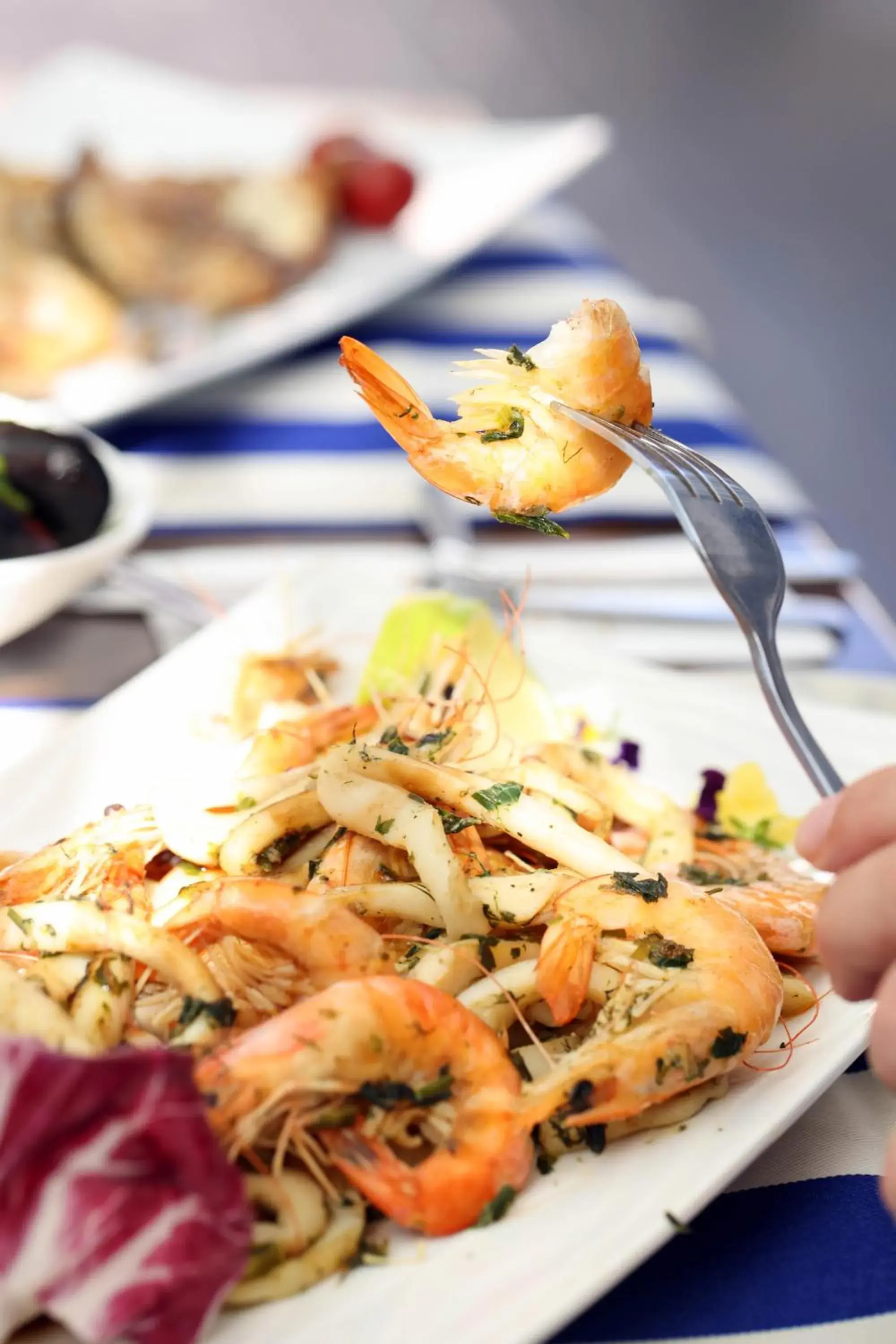 Food and drinks in Rome Palace Deluxe - All Inclusive Premium Food and drinks in Rome Palace Deluxe - All Inclusive Premium