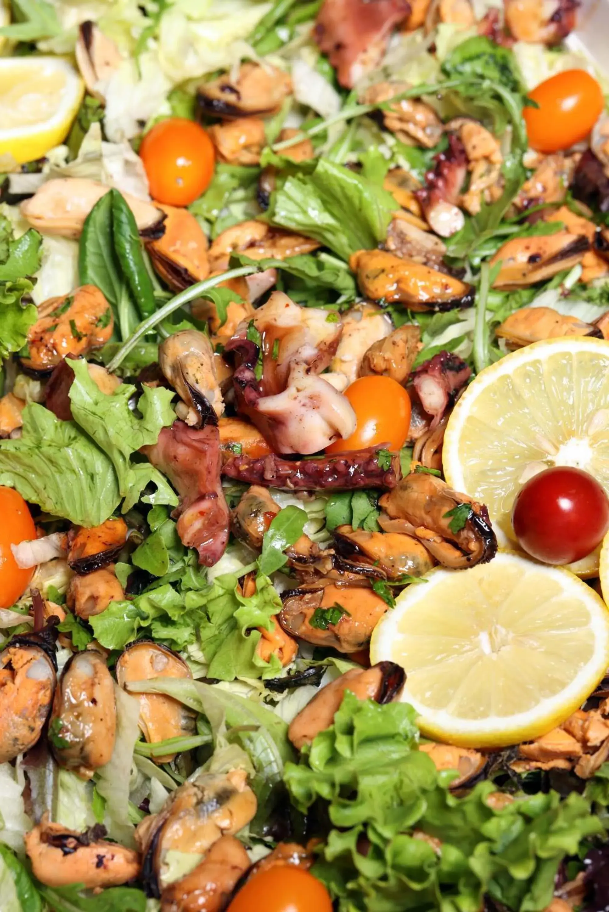 Food and drinks in Rome Palace Deluxe - All Inclusive Premium Food and drinks in Rome Palace Deluxe - All Inclusive Premium