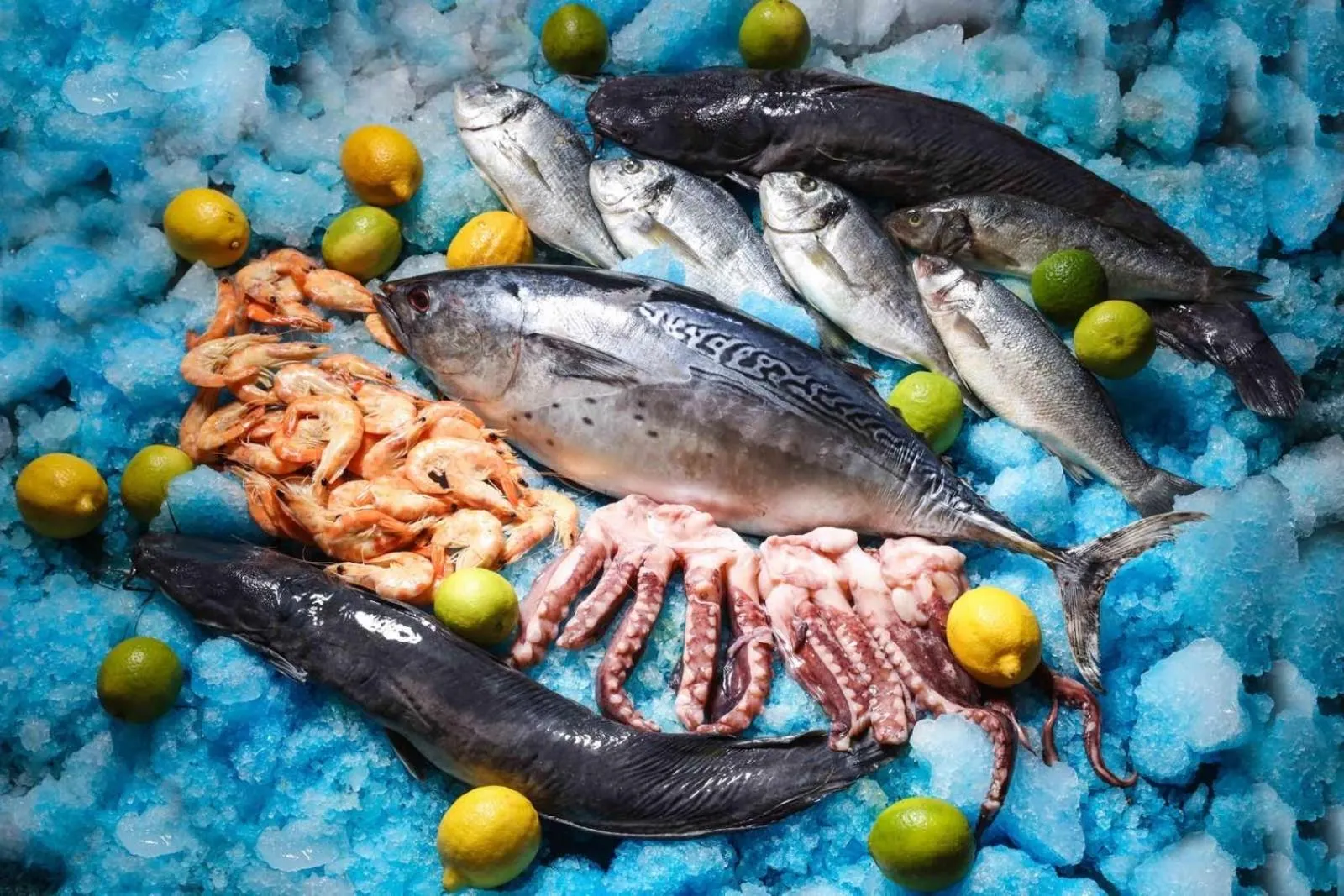 Food and drinks in Rome Palace Deluxe - All Inclusive Premium