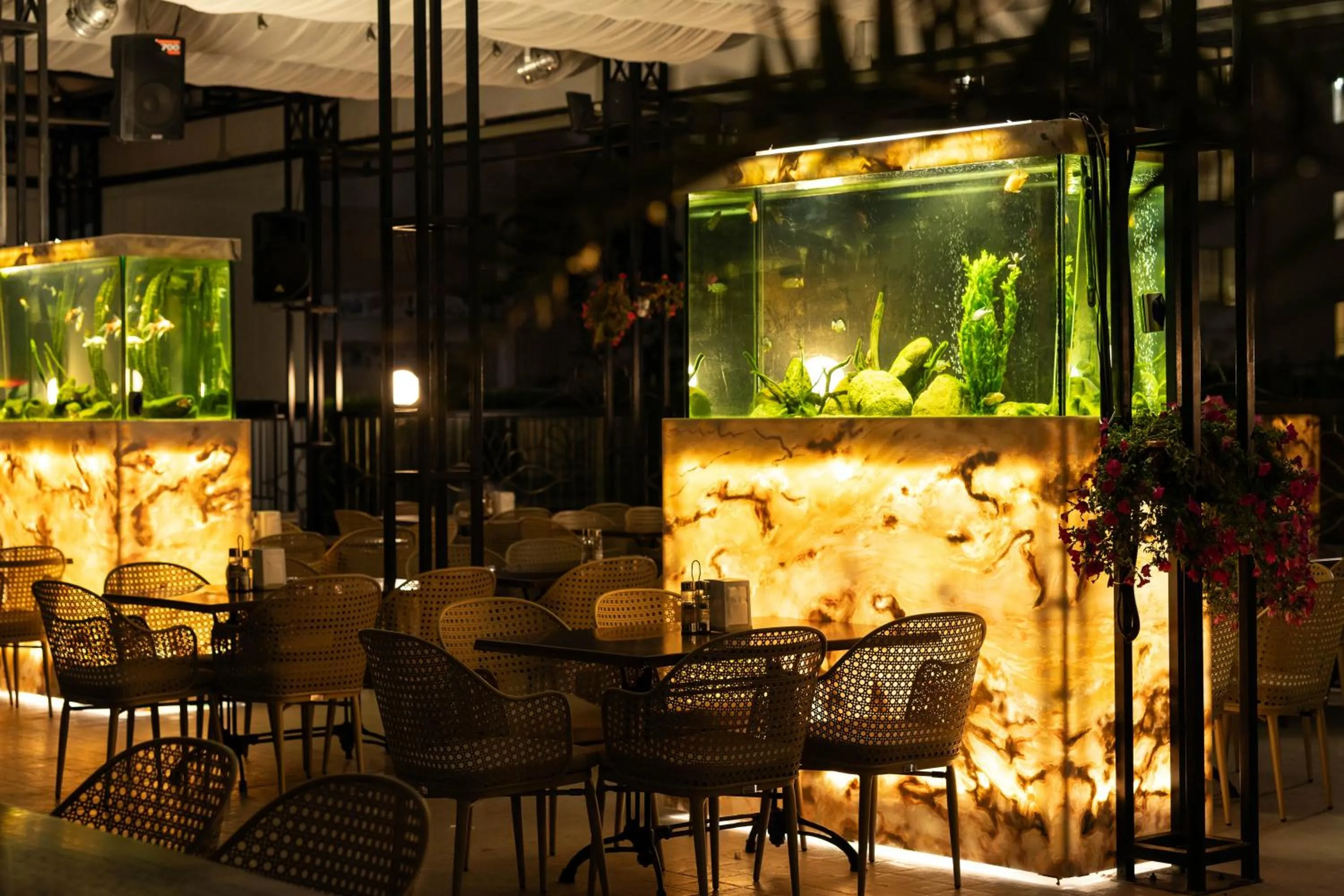 Patio in Rome Palace Deluxe - All Inclusive Premium