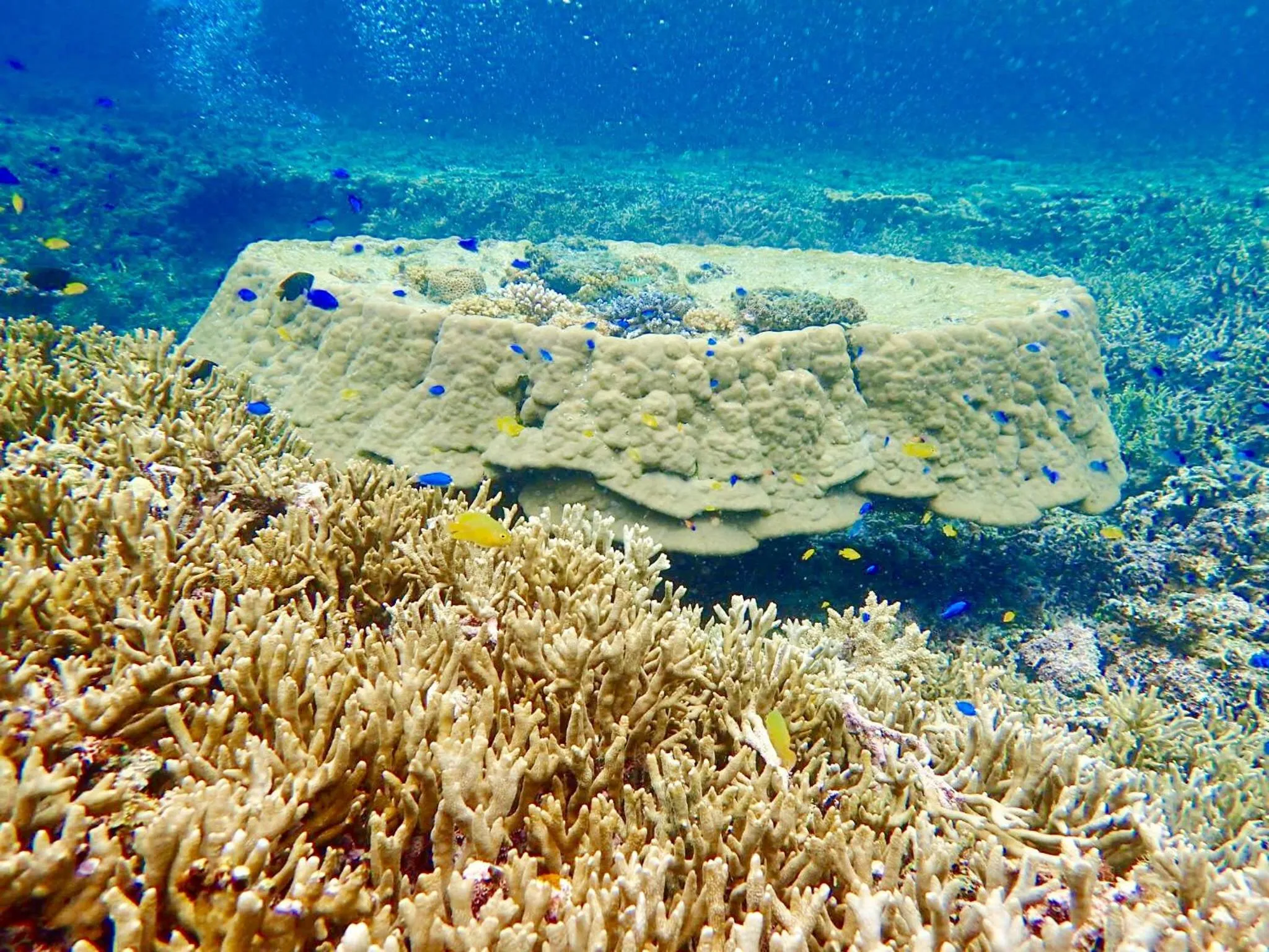 Beach in Seaside KLATCH -Villa&sauna-