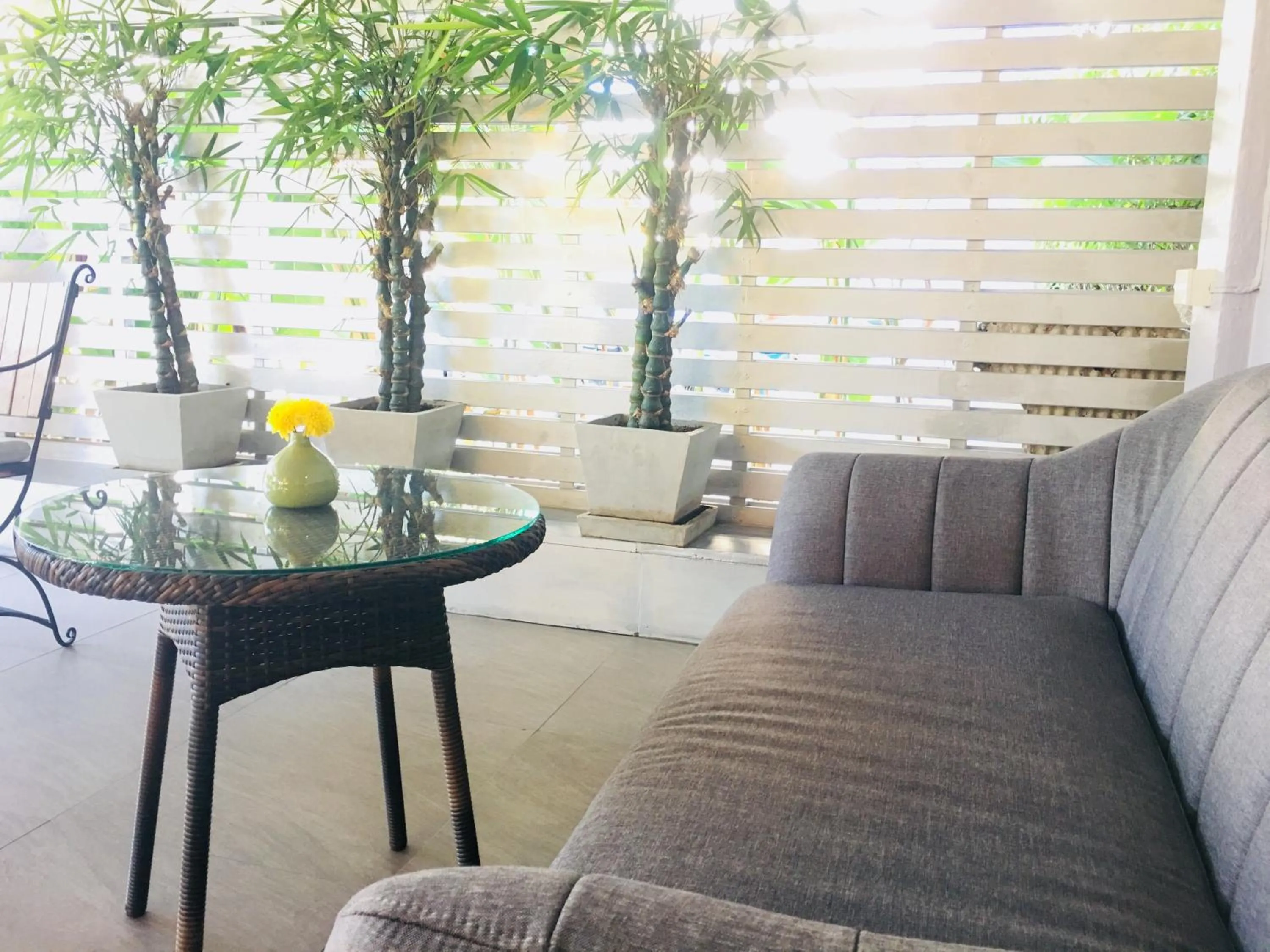 Area and facilities in Kavil Guesthouse